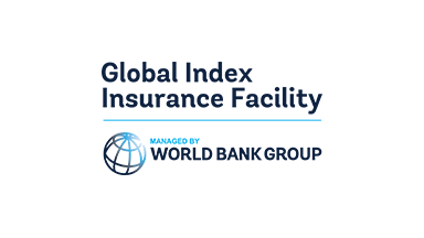 Logo: Global Index Insurance Facility