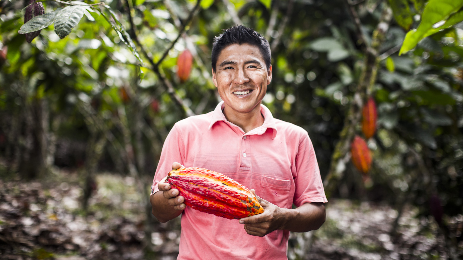 Willy Gonzalez baute früher die Drogenpflanze Koka an. Heute ist er erfolgreicher Kakaobauer im peruanischen Tingo María.