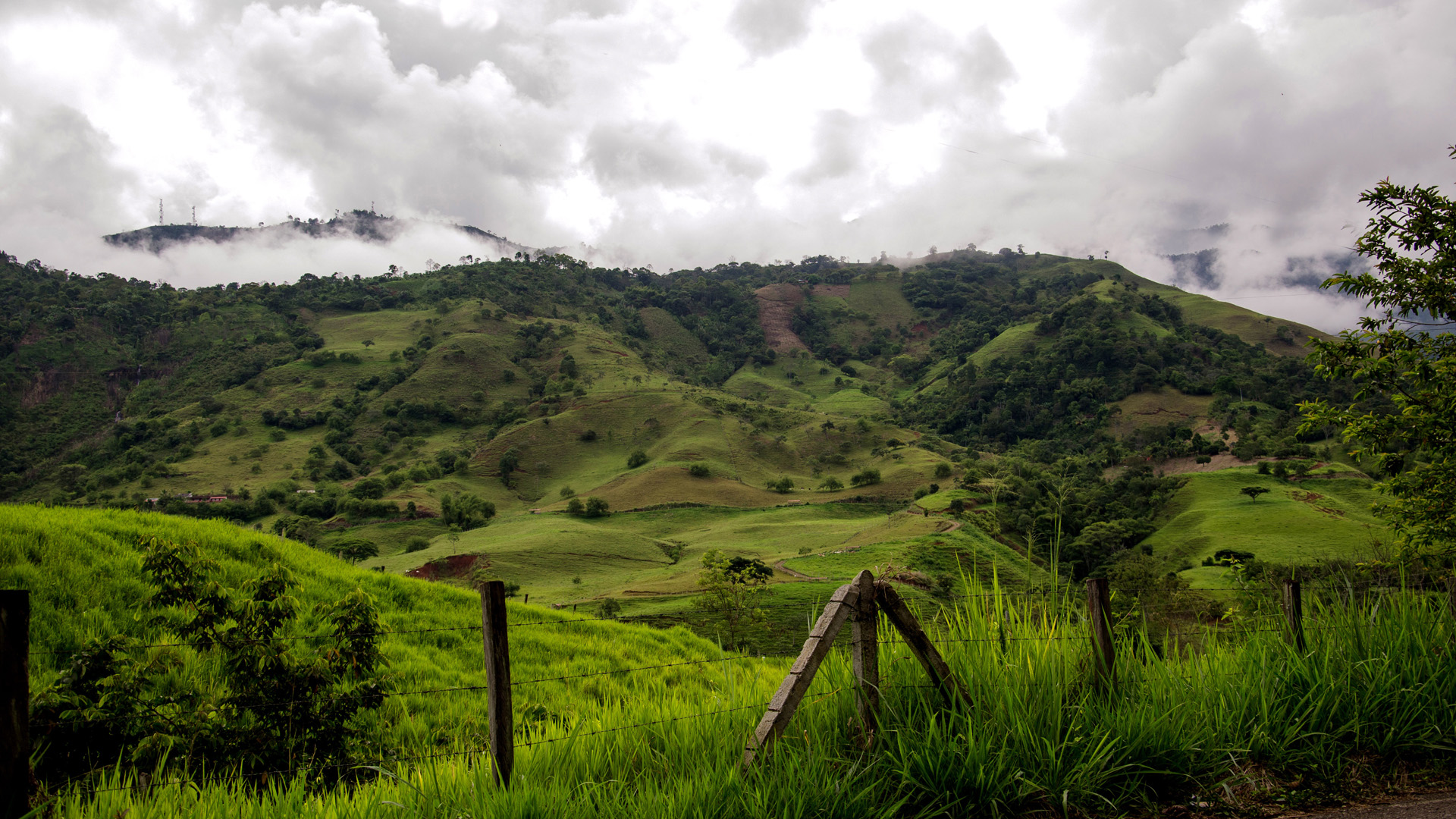Hochland von Kolumbien, in dem heute Kaffee angebaut wird