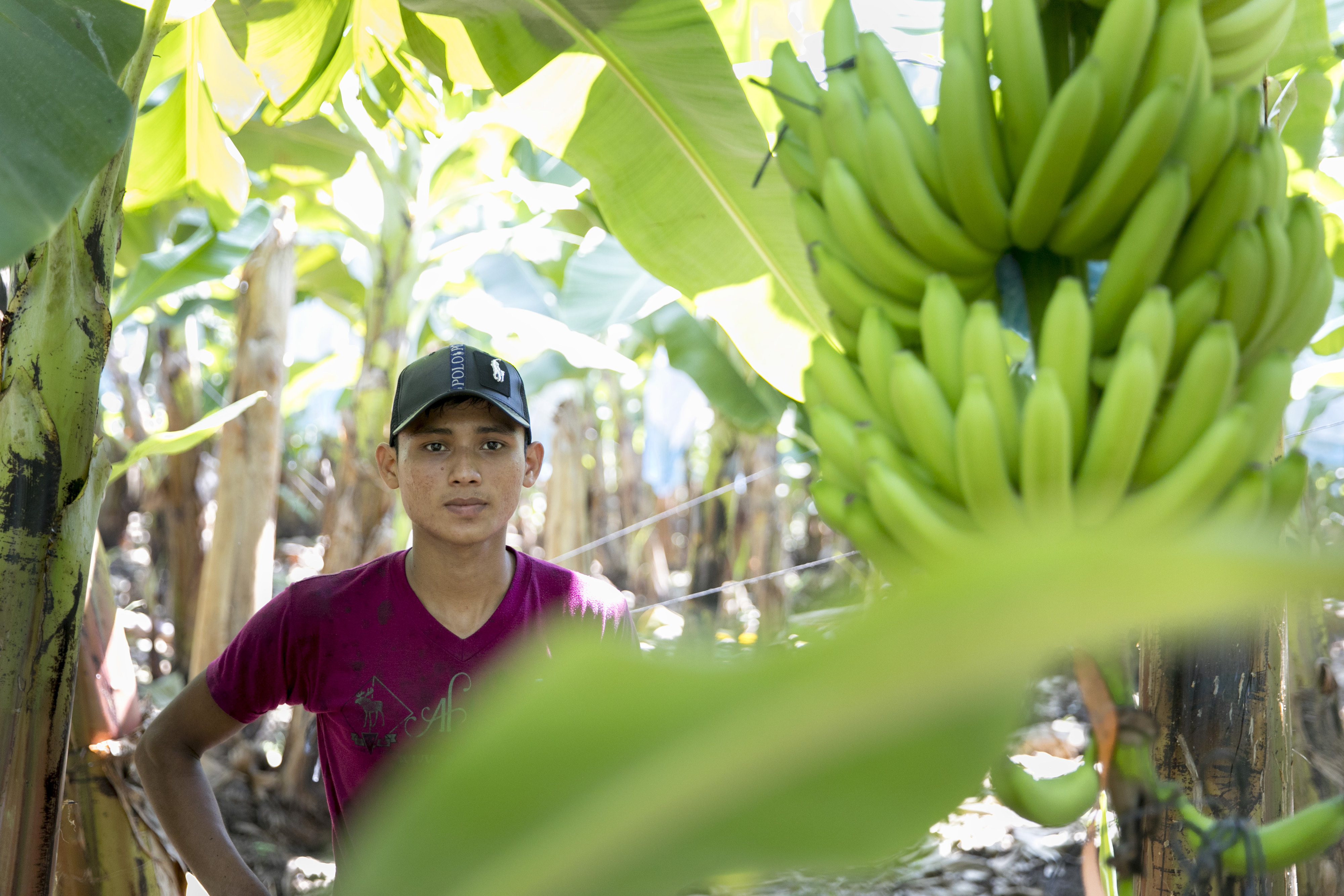 Arbeiter auf der Bananenplantage Ejido Miguel Aleman in Suchiate in Mexiko