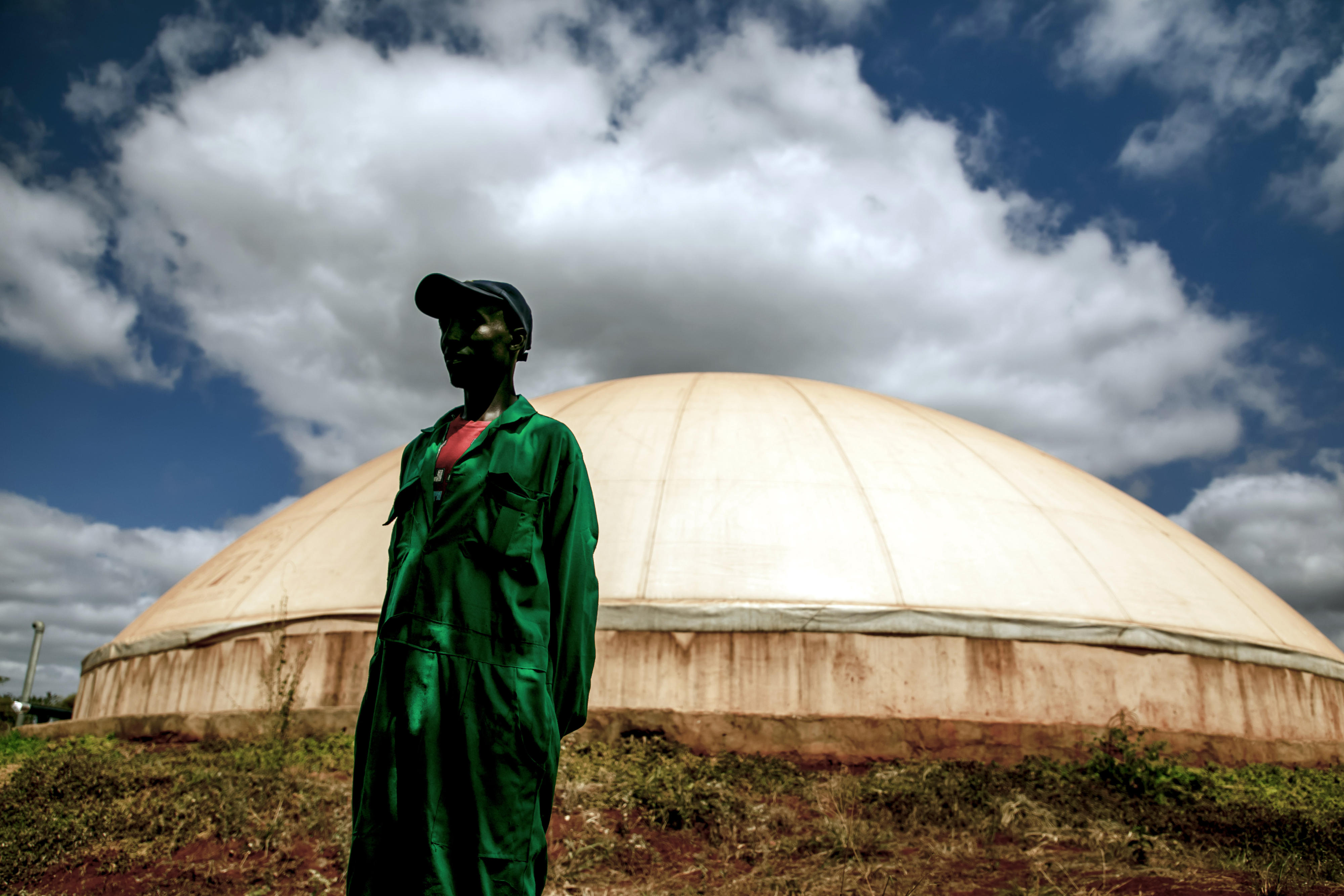 Biogasproduktion aus den Abfällen der Ölpressung mit Avocados in einer Ölmühle in Kenia
