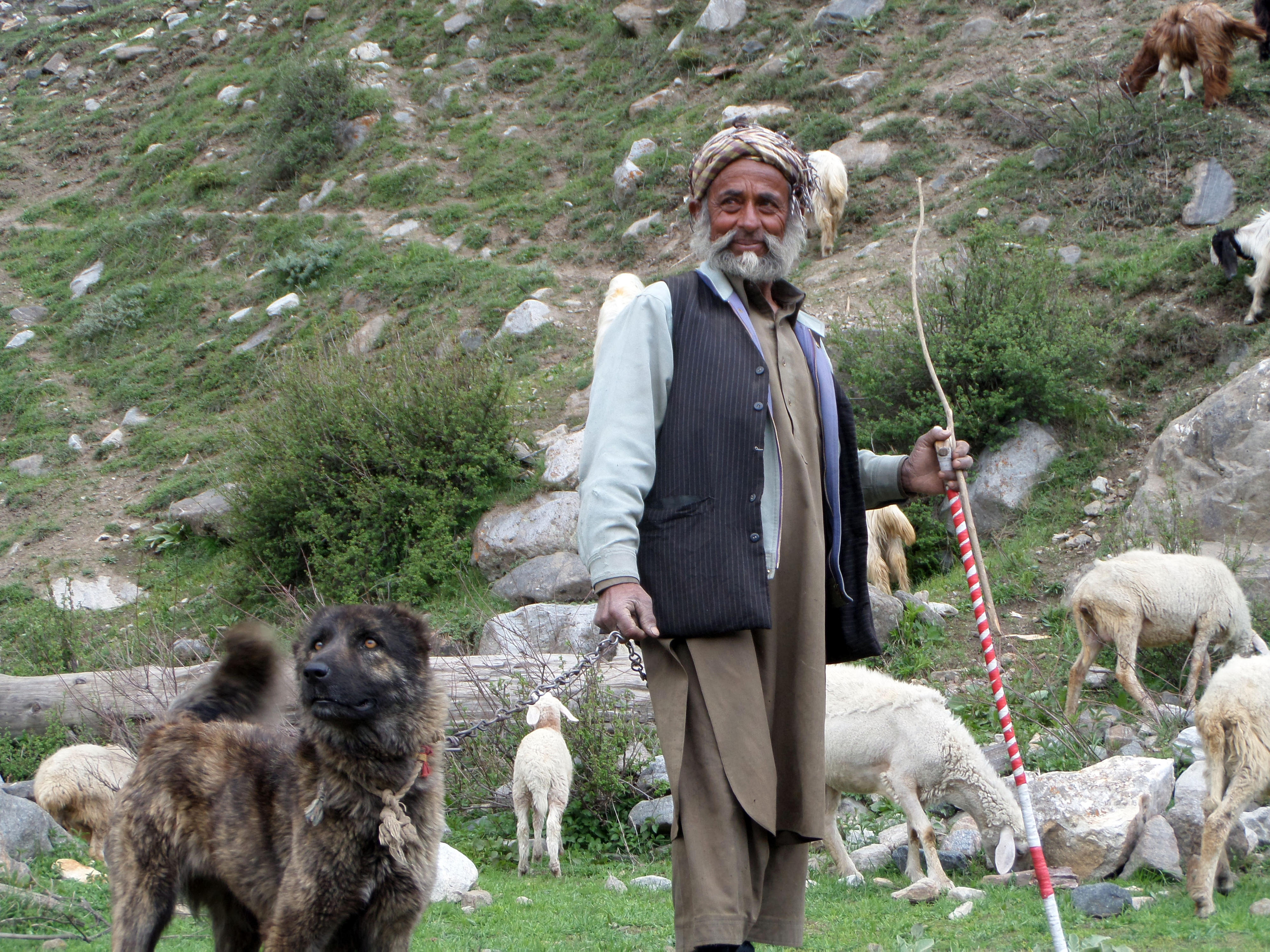 A shepherd in Naran Valley, Khyber Pakhtunkhwa province, Pakistan
