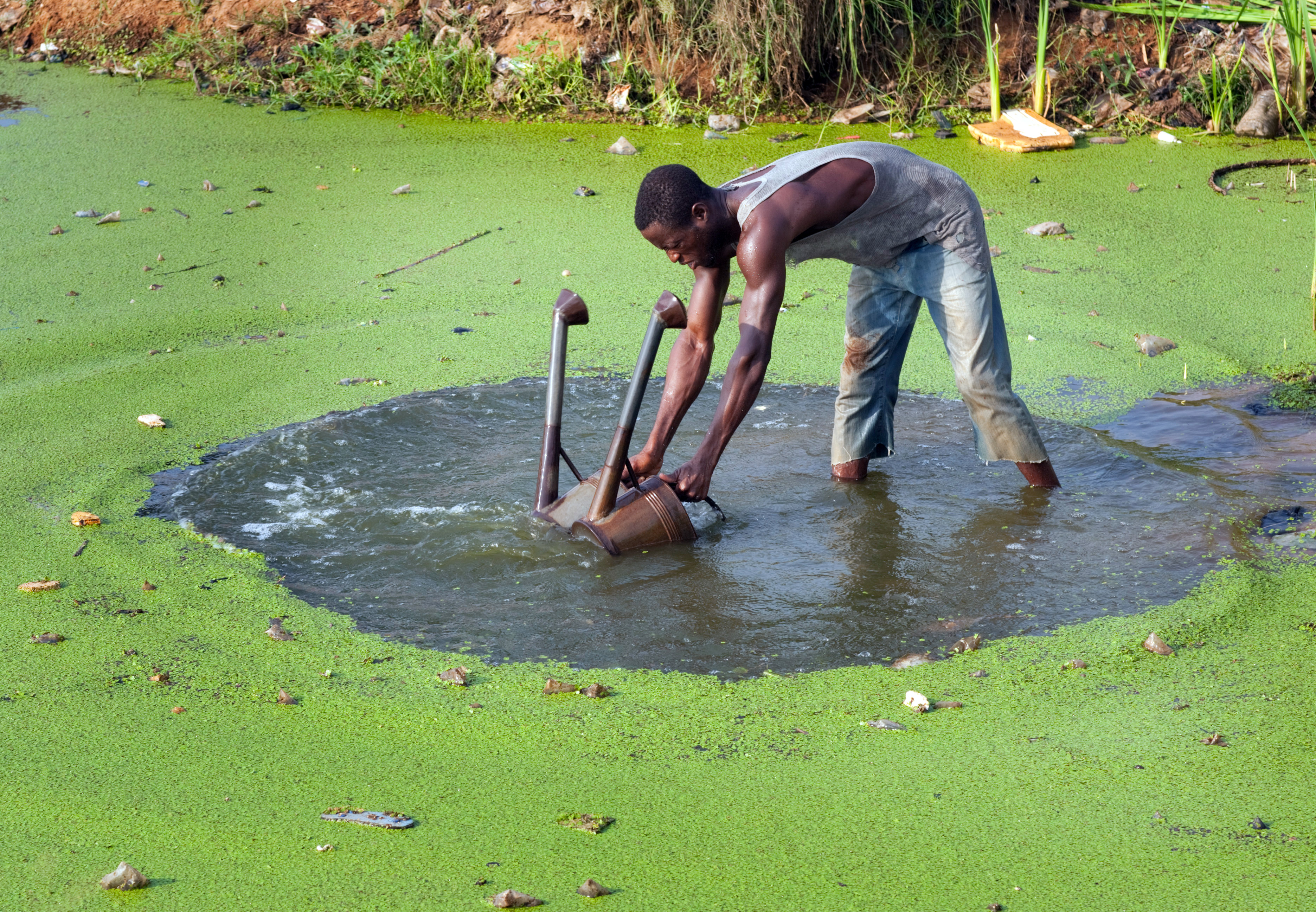 A farmer in Togo draws water from a pond to irrigate his fields.