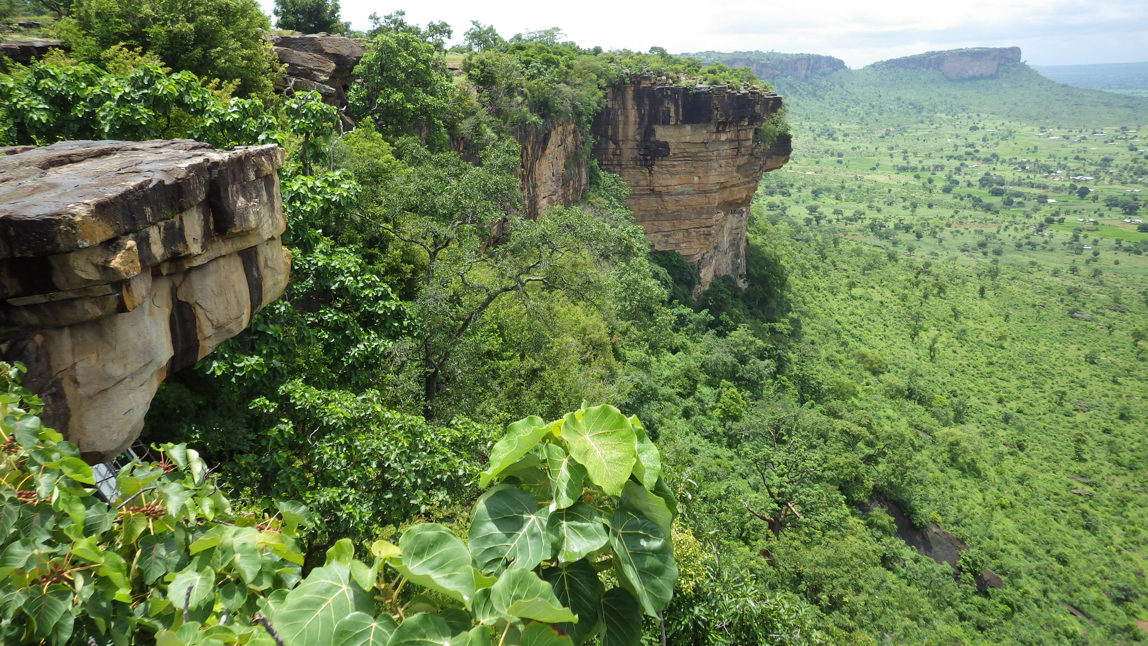 Tropenwald in Togo