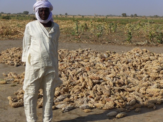 Landwirtschaftliche Anpassungsmaßnahmen an den Klimawandel im Tschadseebecken