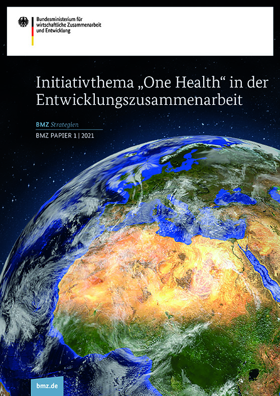 Strategie der strukturbildenden Übergangshilfe