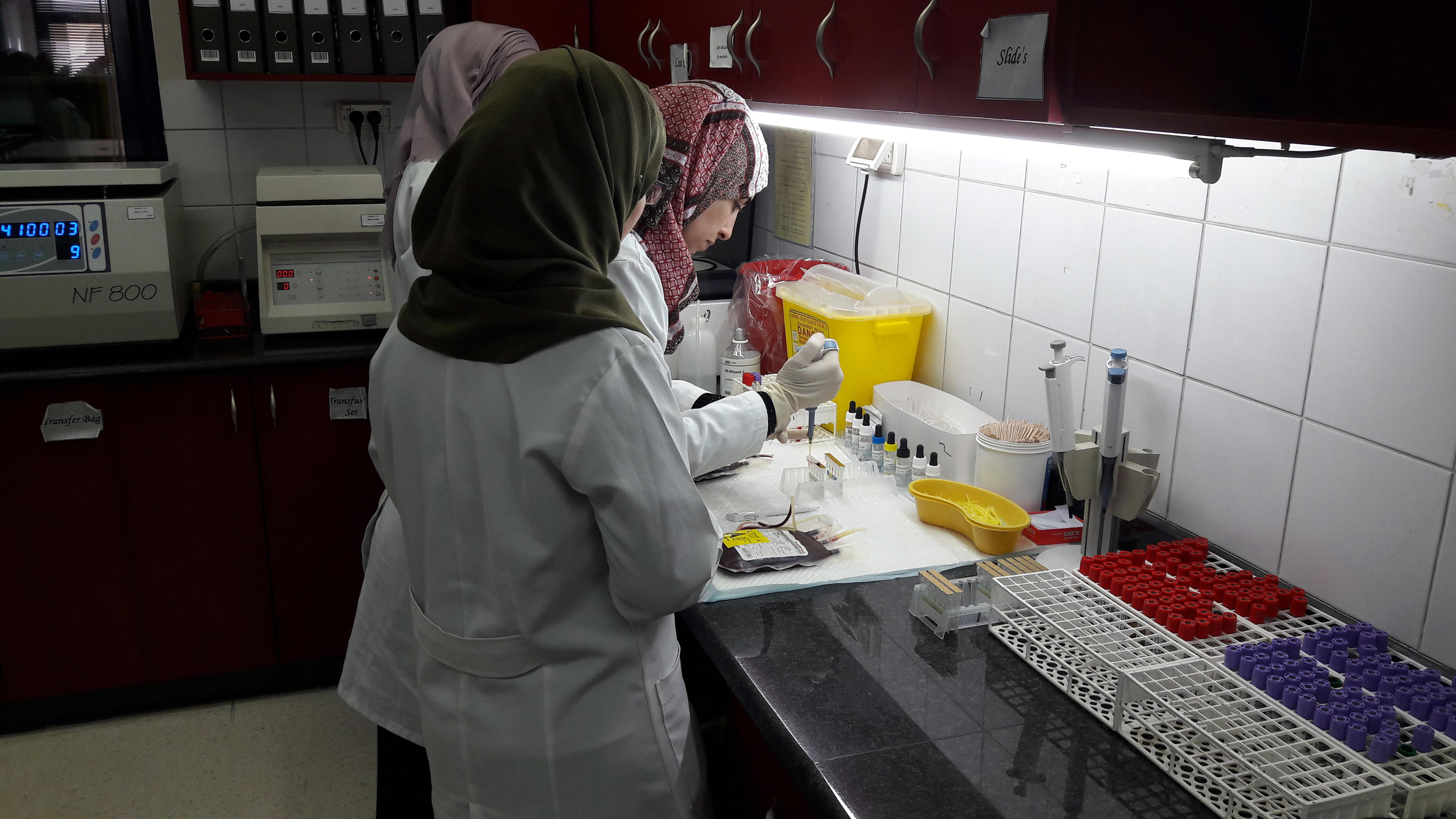 Blood examination by employees of the national blood bank in Ramallah, with which the German National Metrology Institute cooperates as part of a project to support the national quality infrastructure.