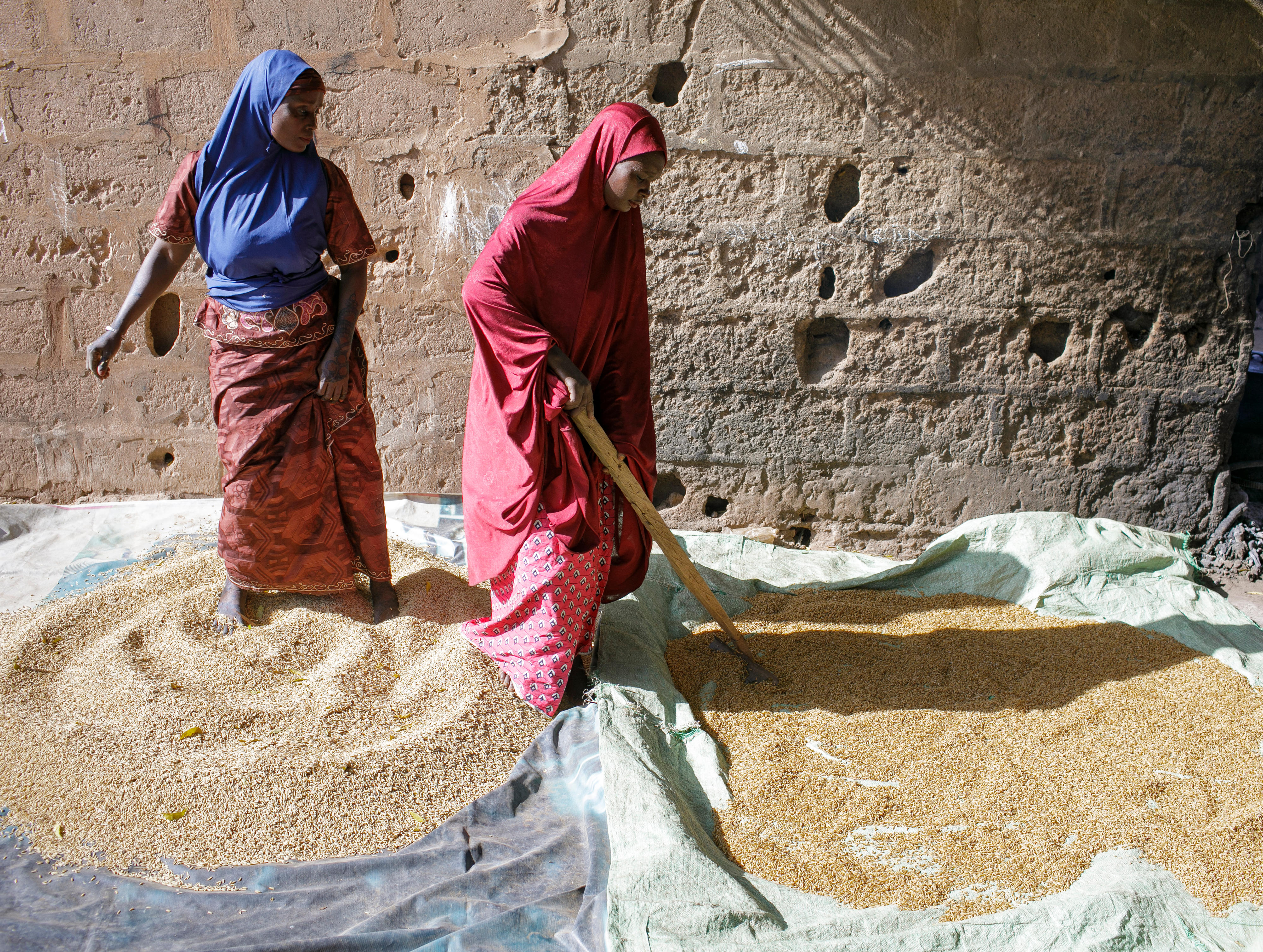 Women at the processing of parboiled rice in Nigeria