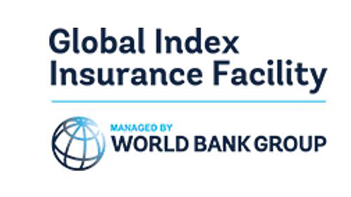 Logo: Global Index Insurance Facility