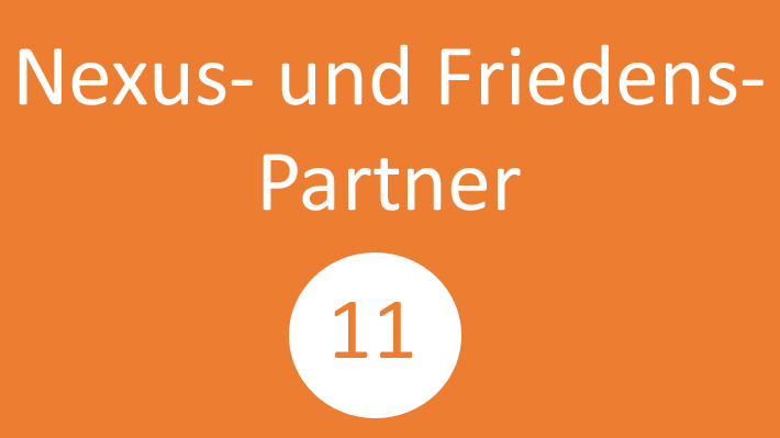 Nexus- und Friedenspartner (11)