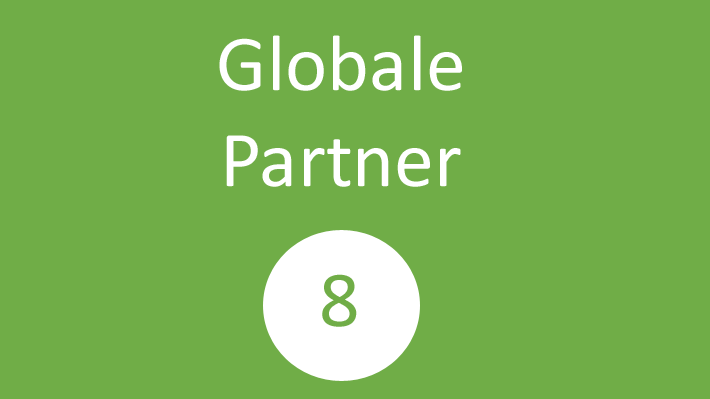 Globale Partner (8)