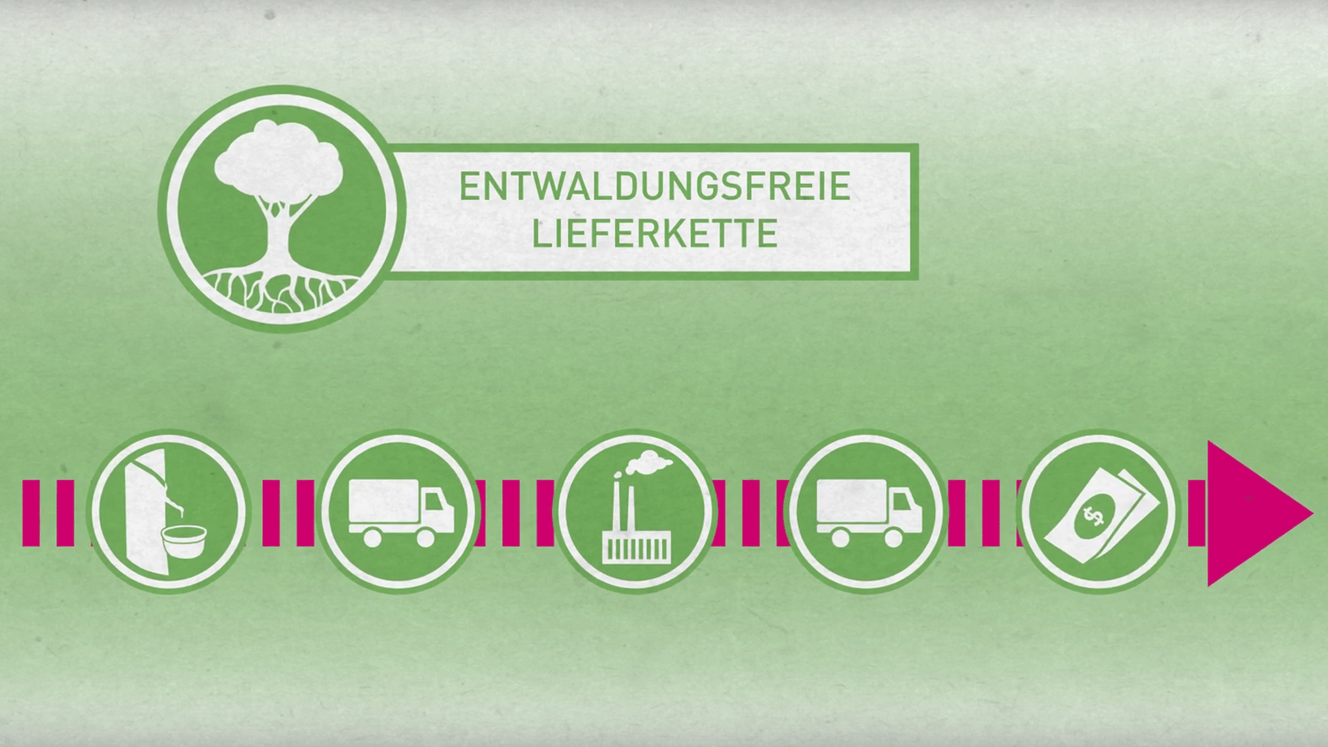 Standbild aus dem BMZ-Video "Nachhaltige Lieferketten durch Waldschutz"