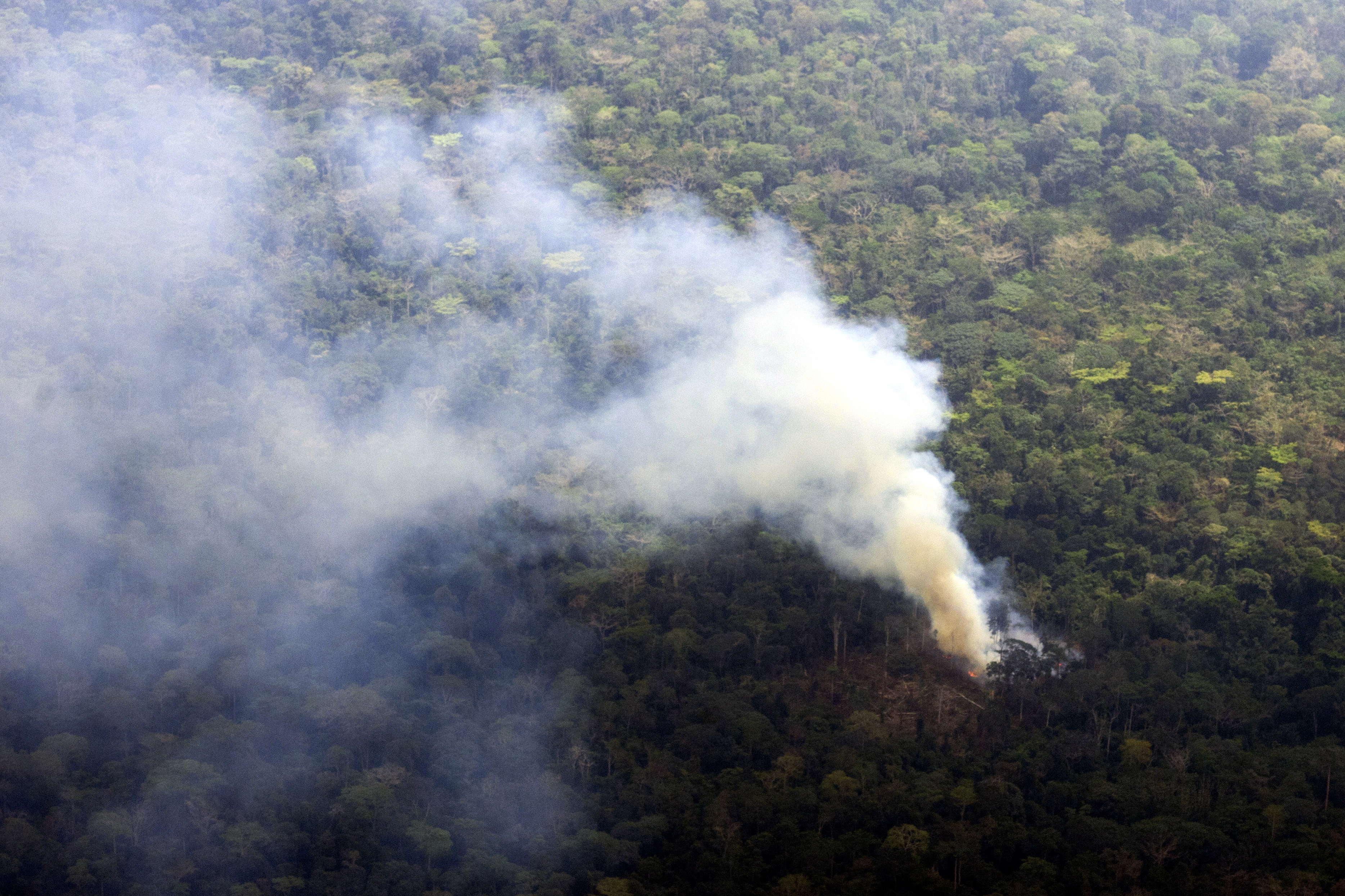 Brandrodung von afrikanischem Regenwald