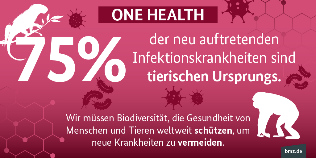 75 Prozent der neu auftretenden Infektionskrankheiten sind tierischen Ursprungs. Wir müssen Biodiversität, die Gesundheit von Menschen und Tieren weltweit schützen, um neue Krankheiten zu vermeiden.