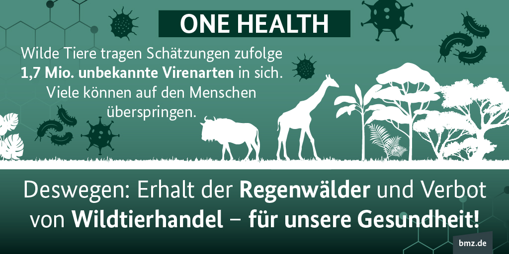 Wilde Tiere tragen Schätzungen zufolge 1,7 Millionen unbekannte Virenarten in sich. Viele können auf den Menschen überspringen. Deswegen: Erhalt der Regenwälder und Verbot von Wildtierhandel – für unsere Gesundheit!