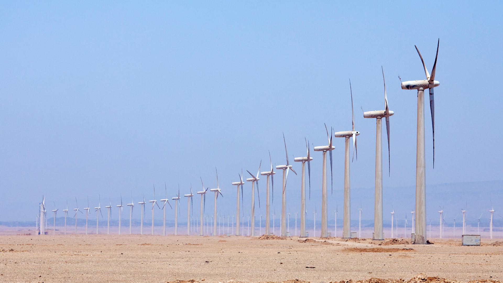 Windpark bei Zafarana, Ägypten: Zahlreiche Windkrafanlagen stehen in einer langen Reihe in einer wüstenähnlichen Landschaft