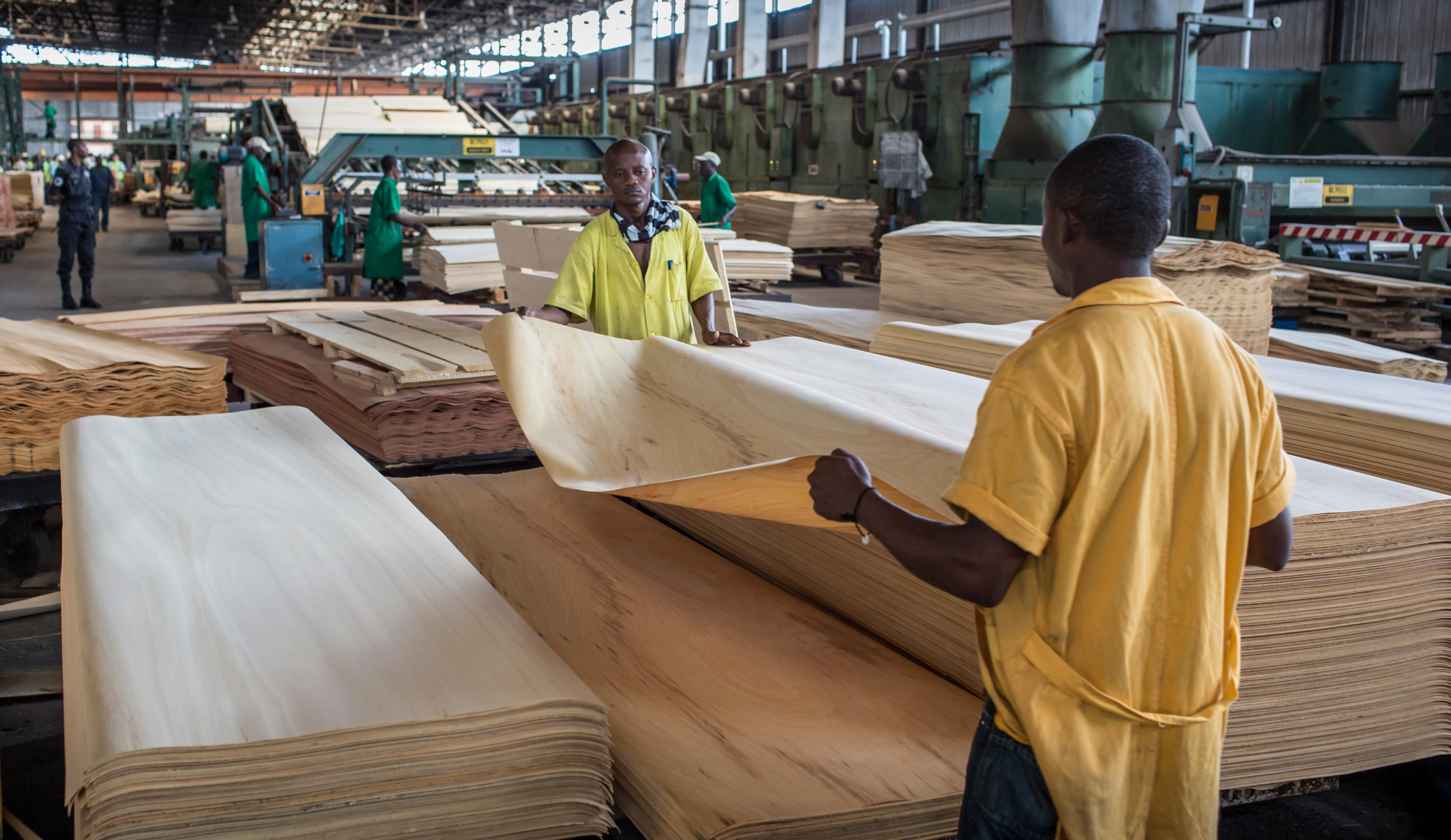 Funierproduktion in Kamerun