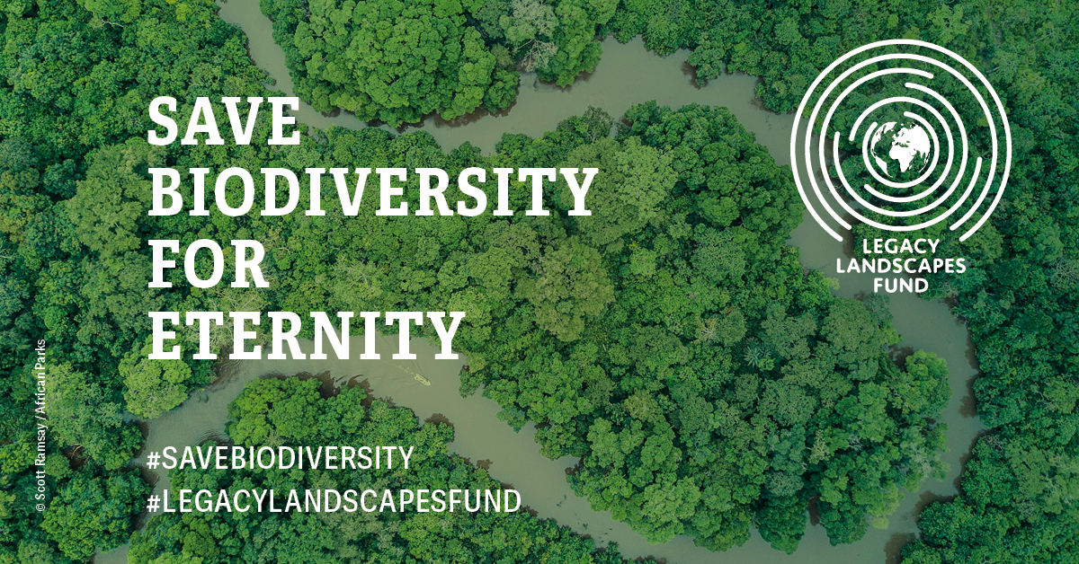 Save biodiversity for eternity