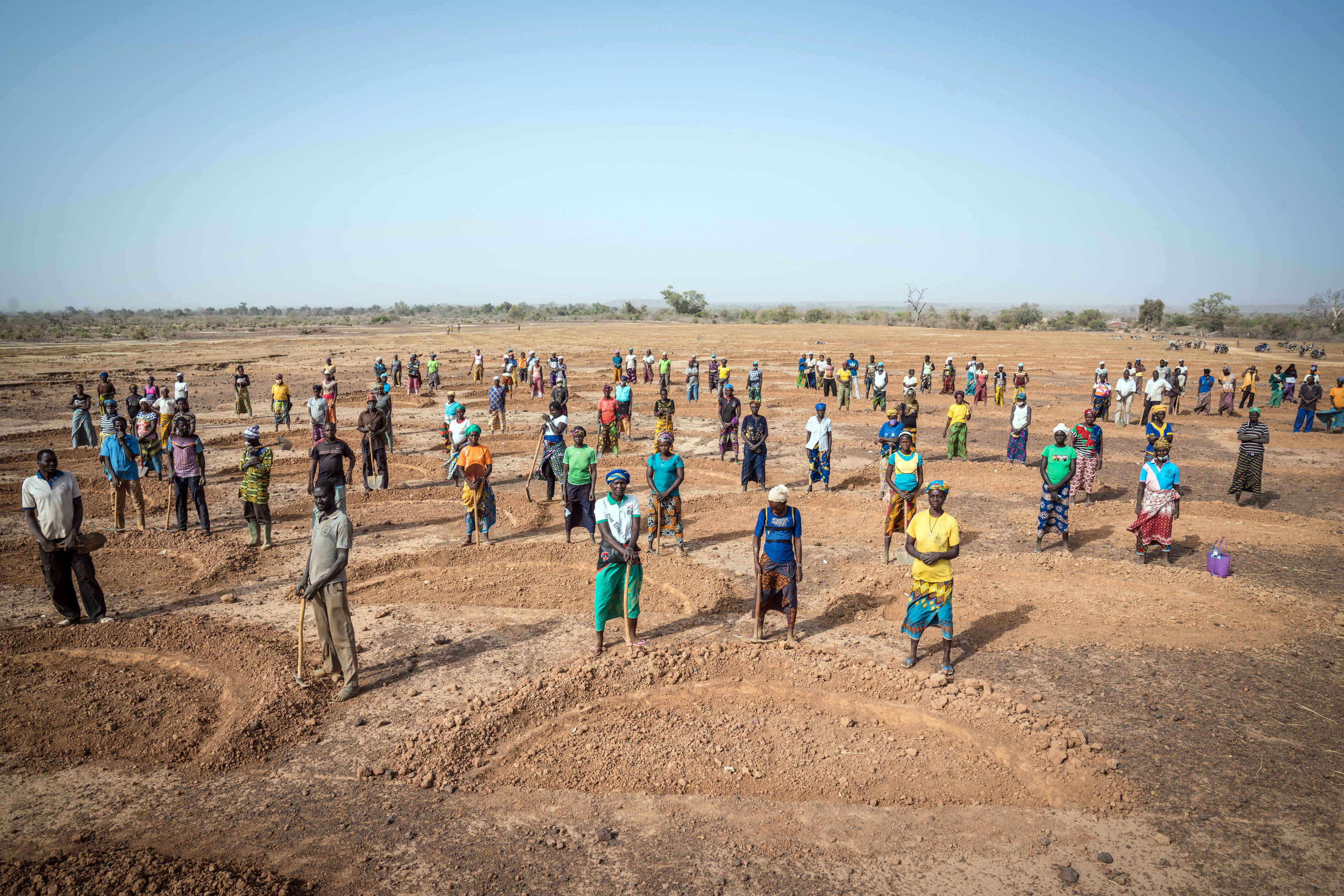 Bäuerinnen und Bauern in Burkina Faso machen degradiertes Land wieder fruchtbarer, zum Beispiel durch das Anlegen von halbrunden Erdwällen, die das Regenwasser besser auffangen und speichern können.