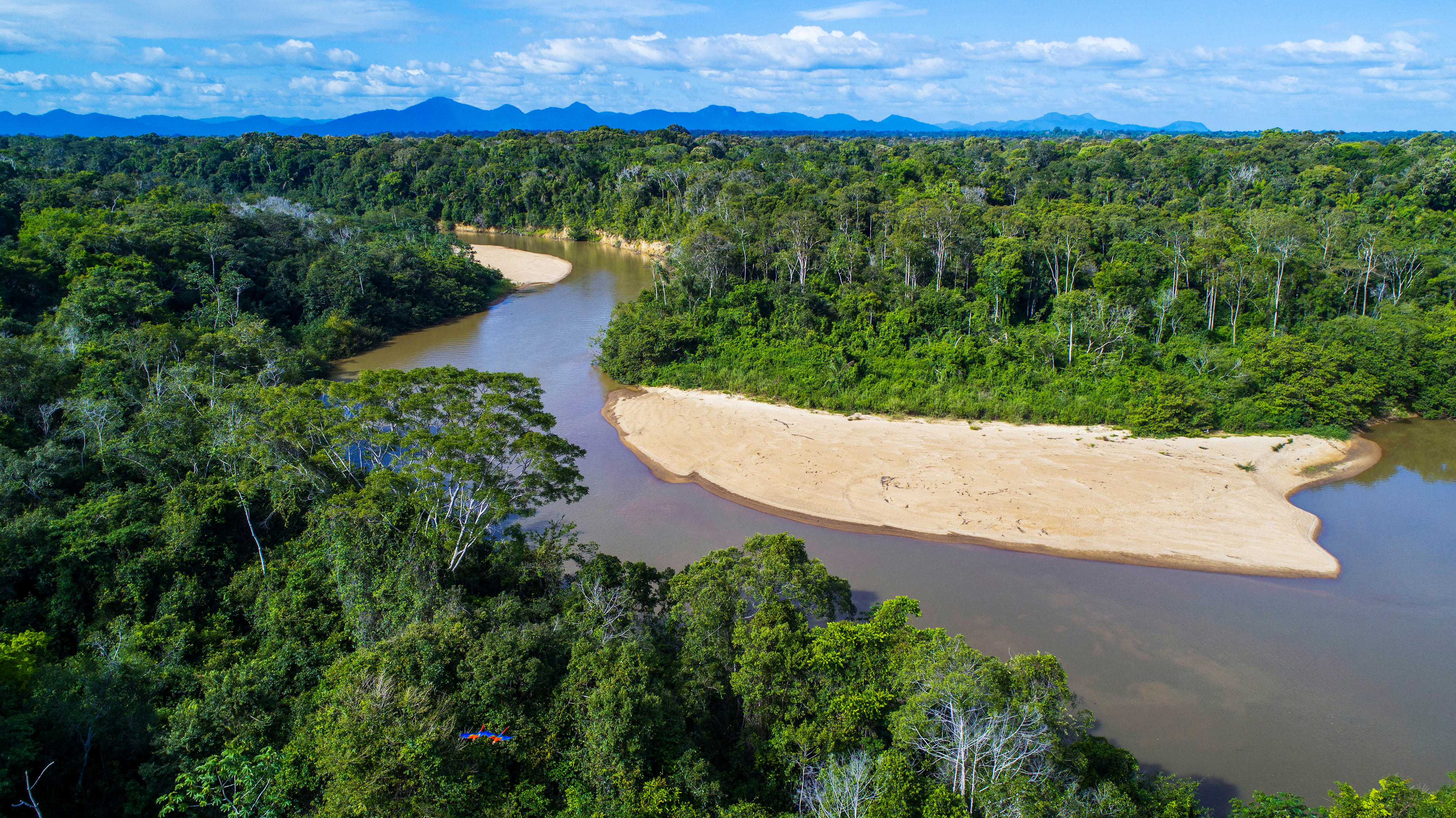 Kanuku Mountains protected area, Guyana