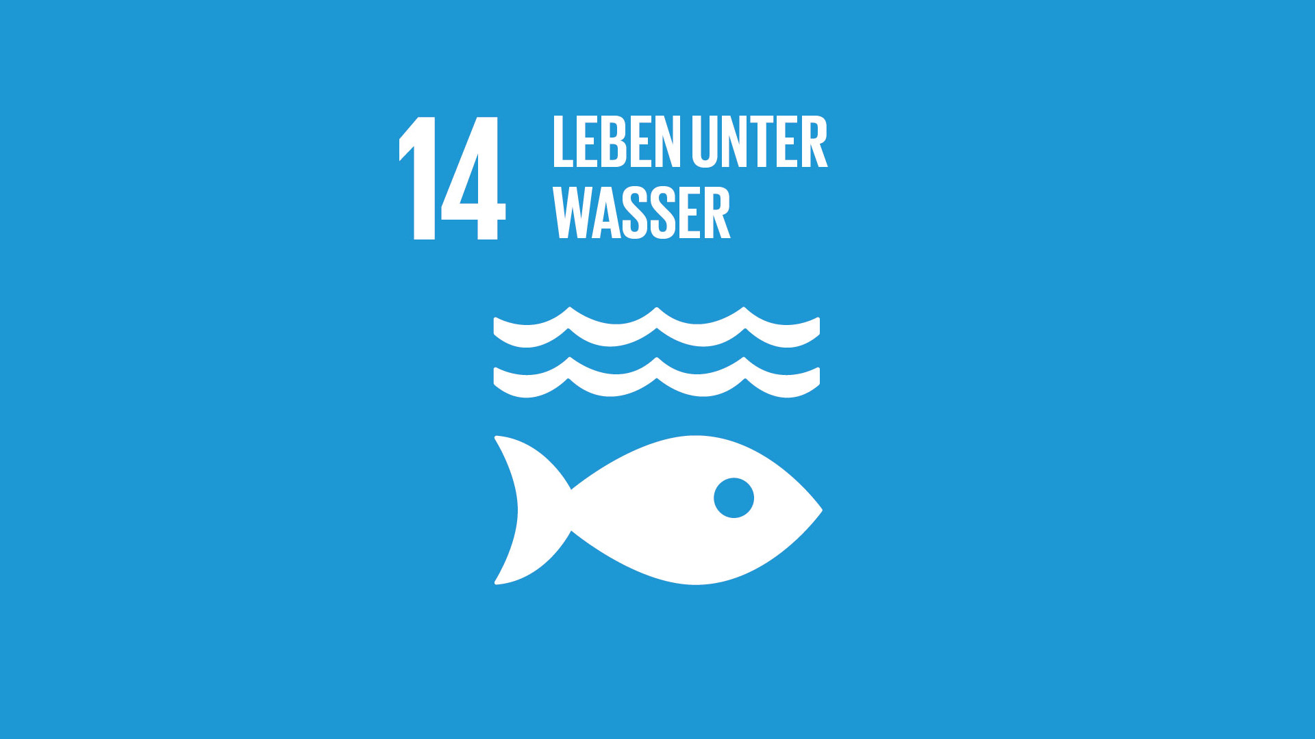 SDG 14: Leben unter Wasser