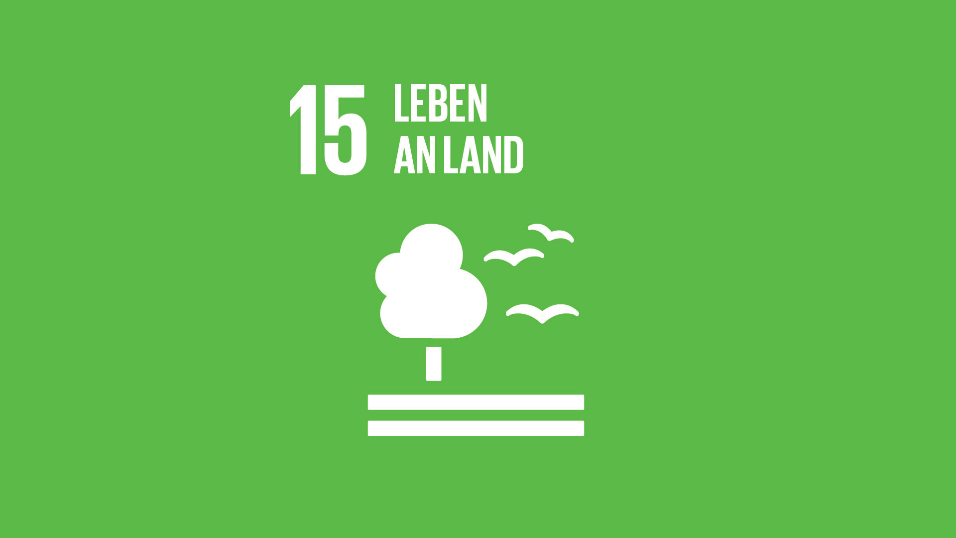 SDG 15: Leben an Land