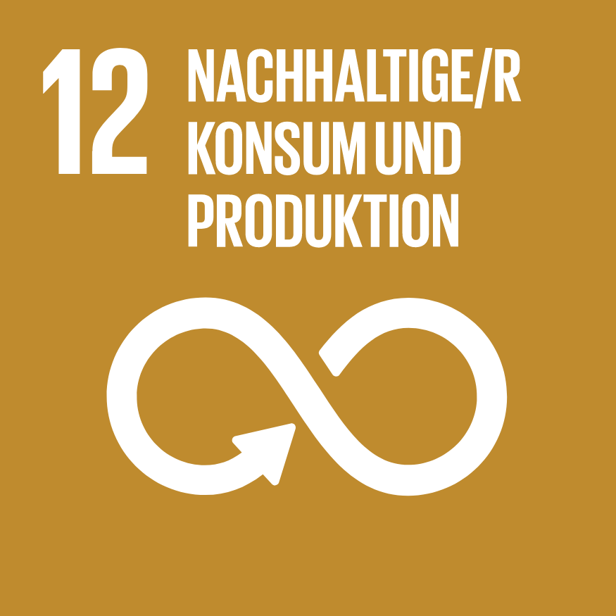 SDG 12: Nachhaltiger Konsum und Produktion