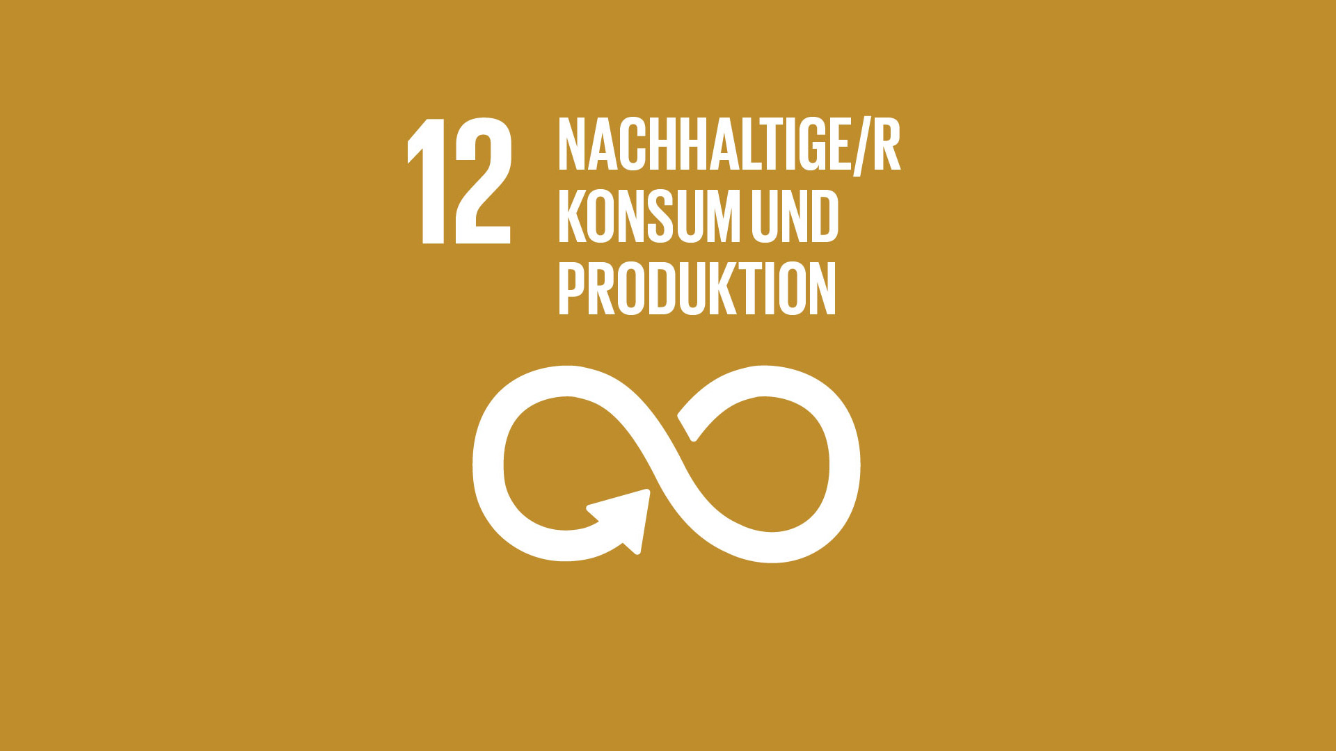 SDG 12: Nachhaltige/r Konsum und Produktion