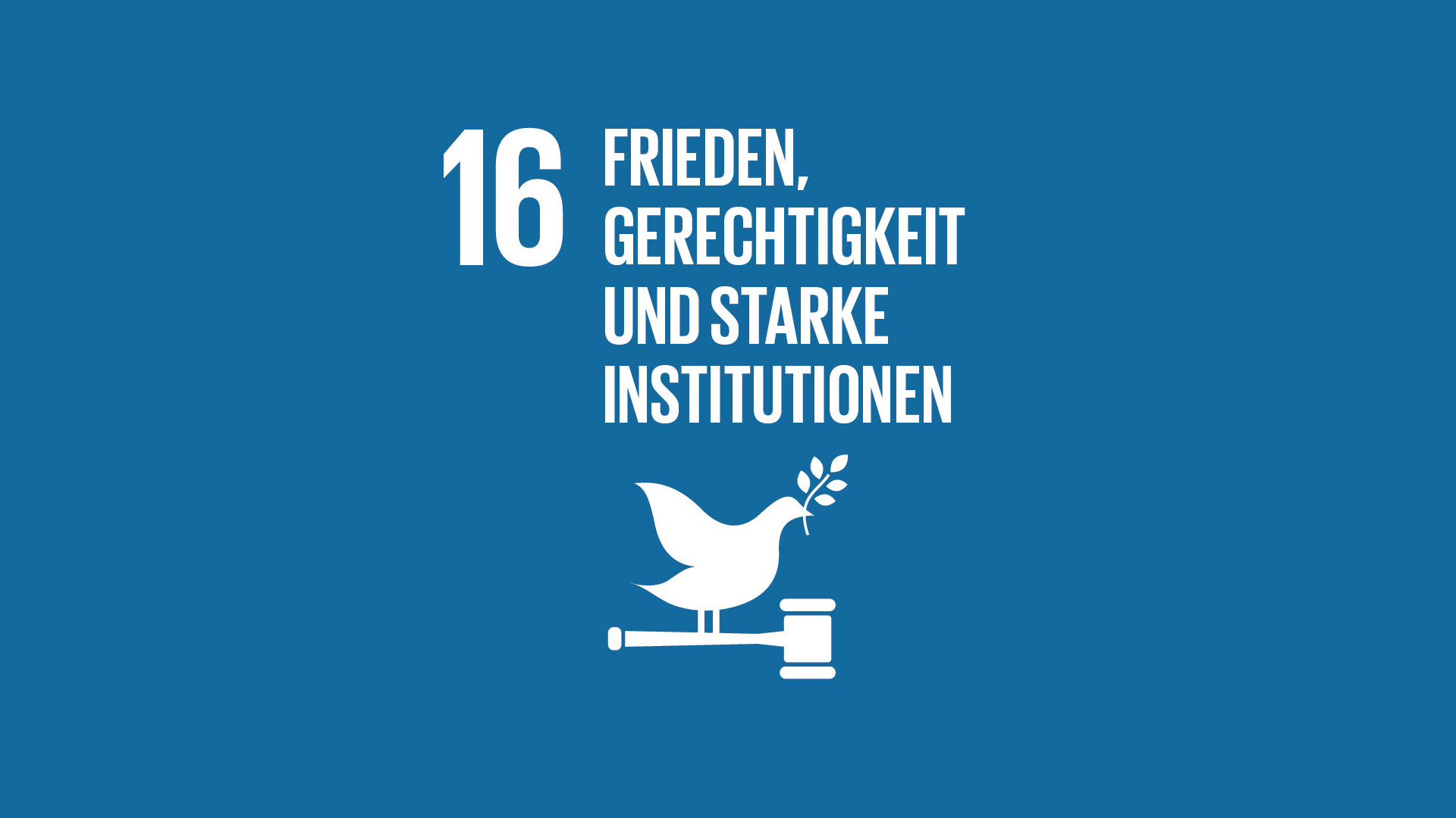 SDG 16: Frieden, Gerechtigkeit und starke Institutionen