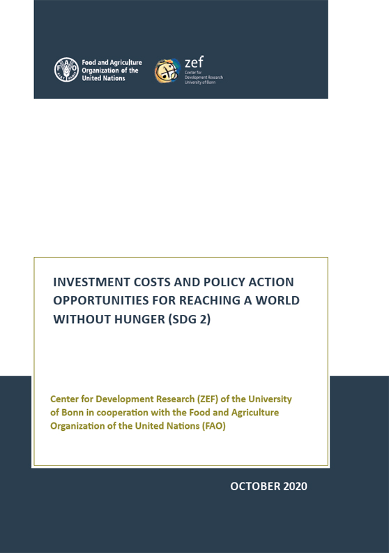 Titelblatt: Investment costs and policy action opportunities for reaching a world without hunter (SDG 2)