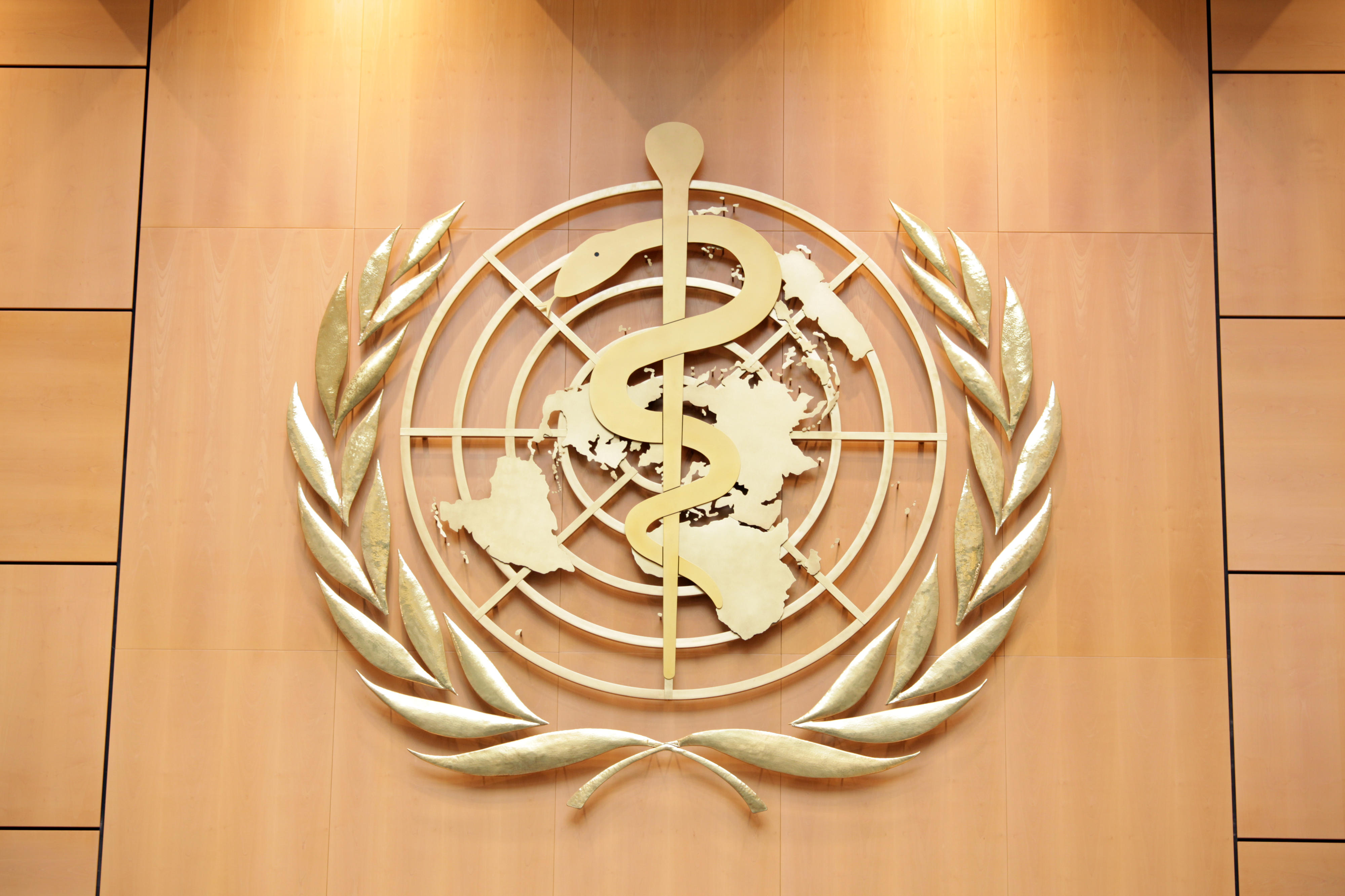 Logo of the World Health Organization (WHO)