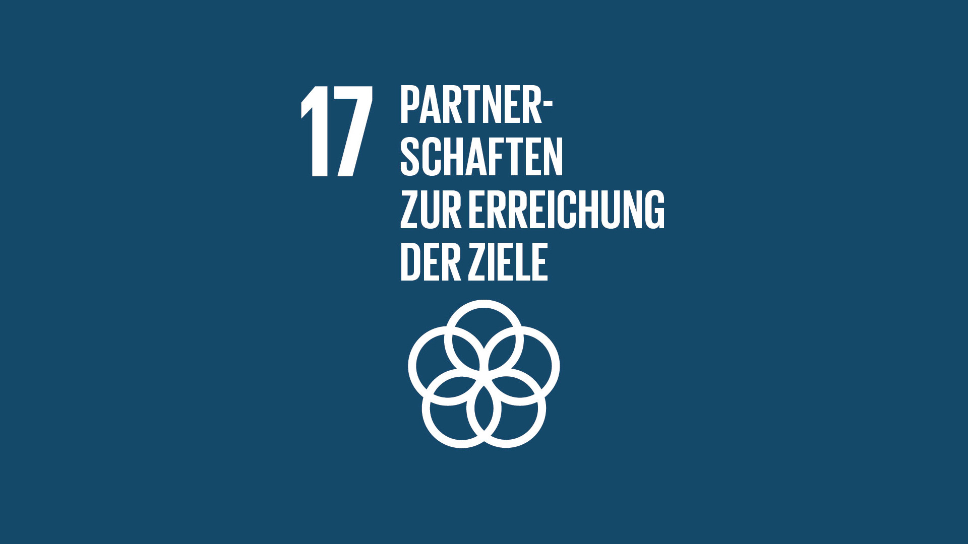 SDG 17: Partnerschaften zur Erreichung der Ziele