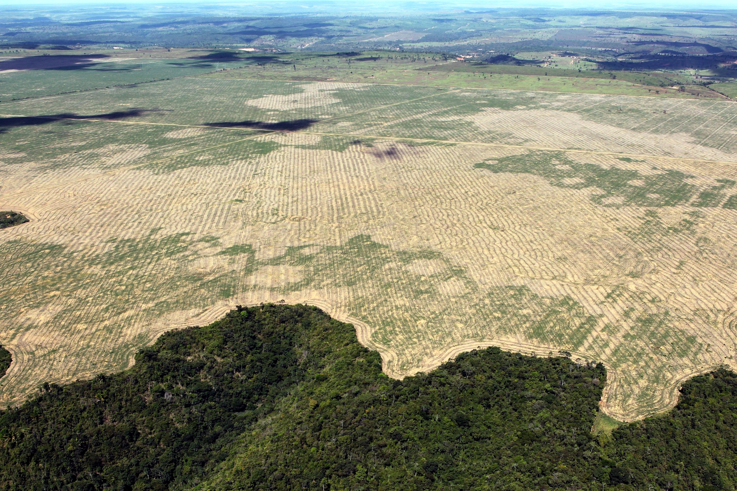 Entwaldung im brasilianischen Bundesstaat Maranhão