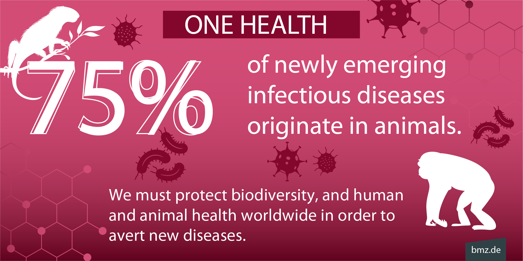One Health: 75 per cent of newly emerging infectious diseases originate in animals. We must protect biodiversity, and human and animal health worldwide in order to avert new diseases.