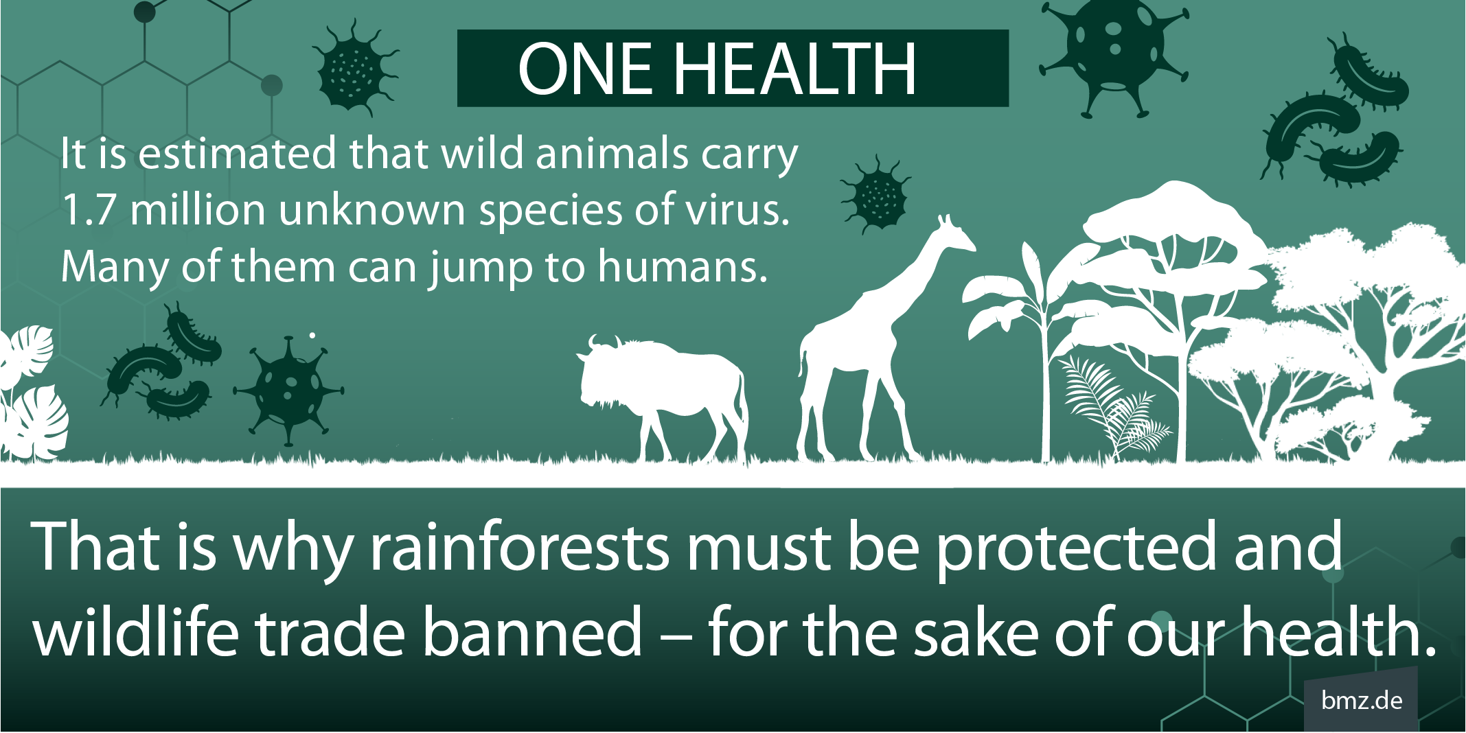 One Health: It is estimated that wild animals carry 1.7 million unknown species of virus. Many of them can jump to humans. That is why rainforests must be protected and wildlife trade banned – for the sake of our health.