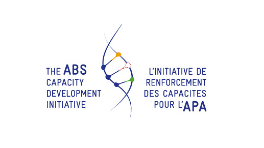 Logo: ABS Initiative