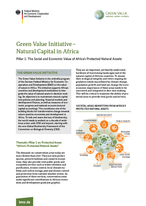 Cover: Factsheet Green Value Initiative – Natural Capital in Africa