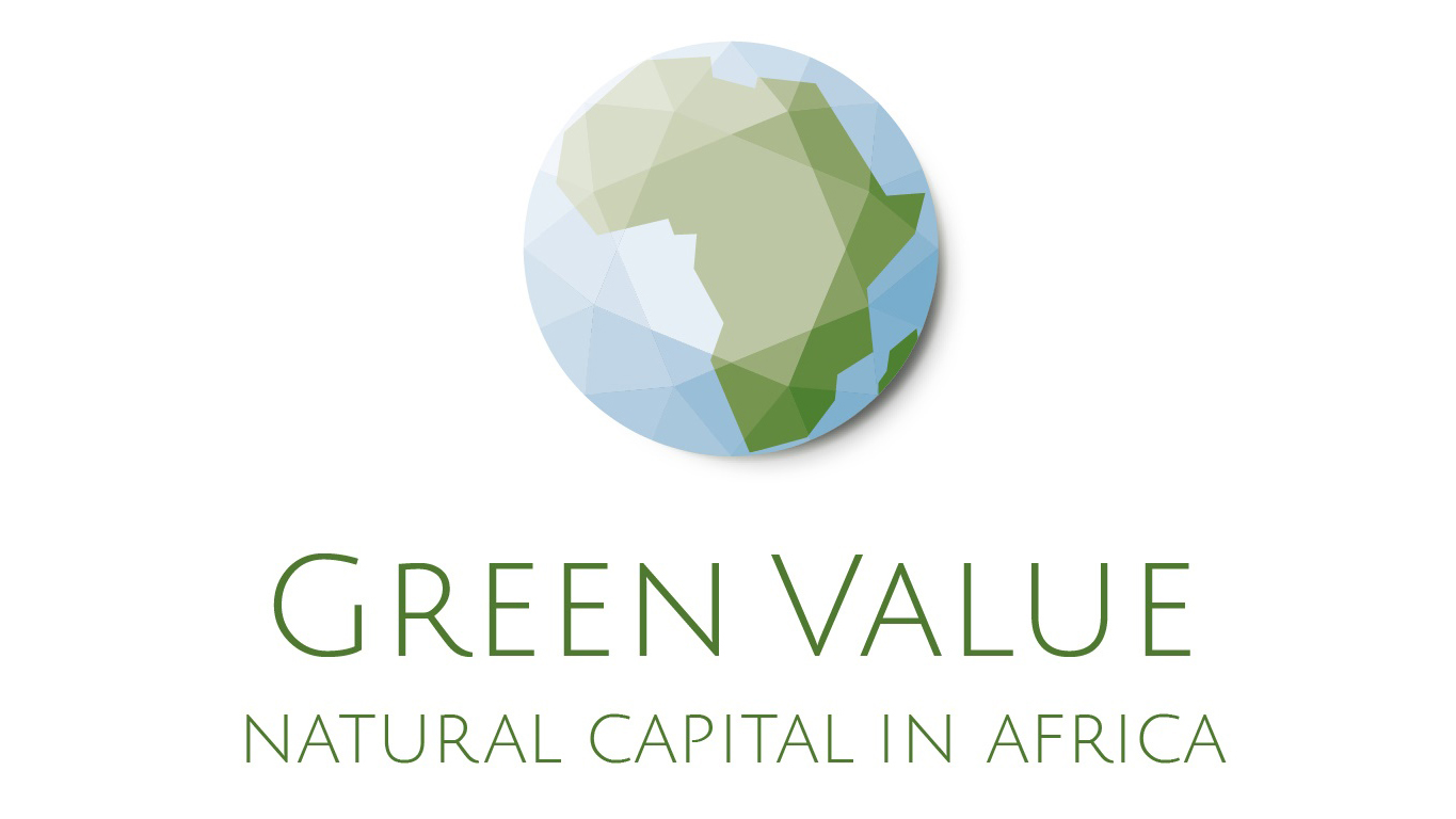 Logo: Green Value