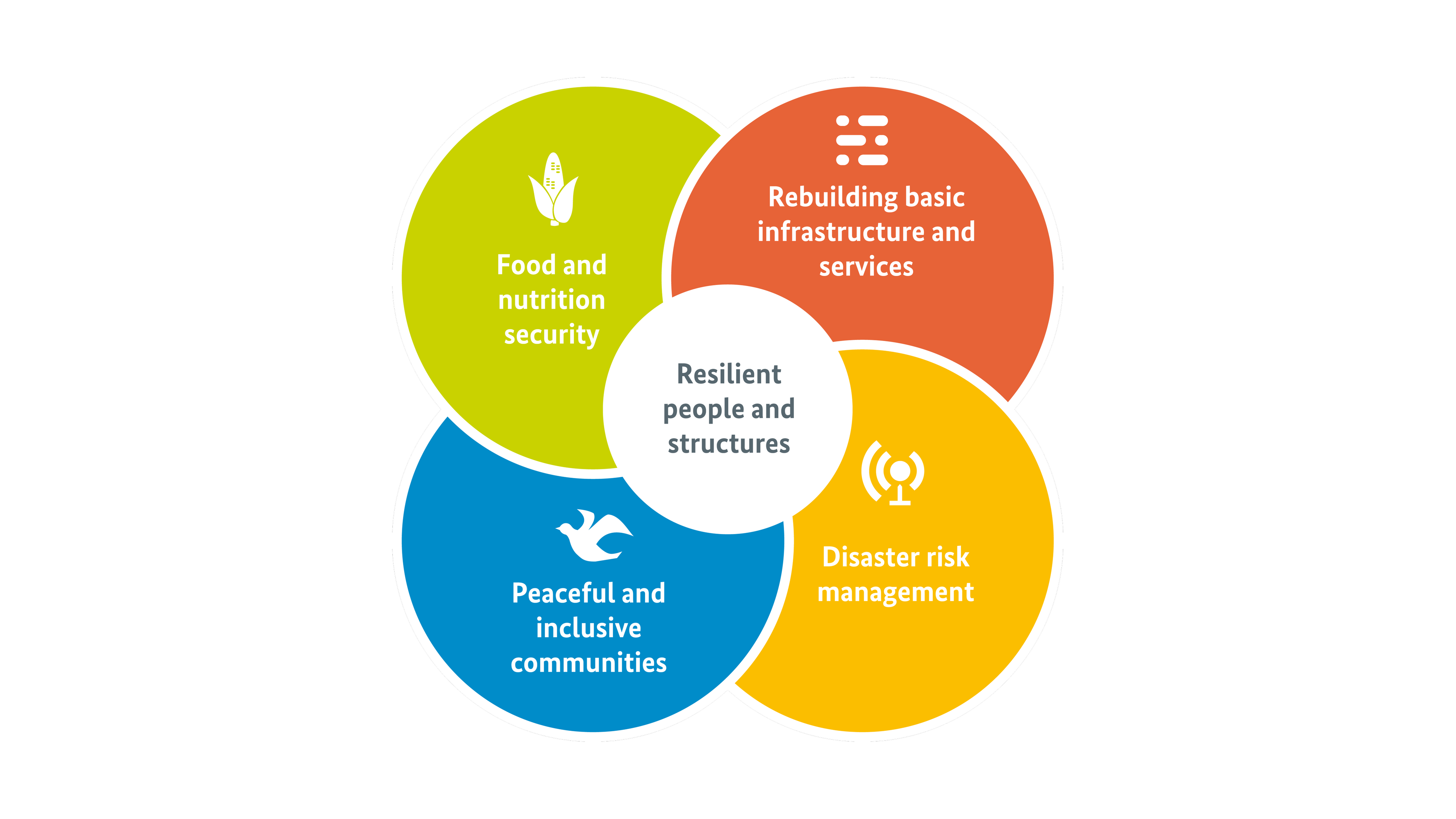 The fields of action of transitional development assistance