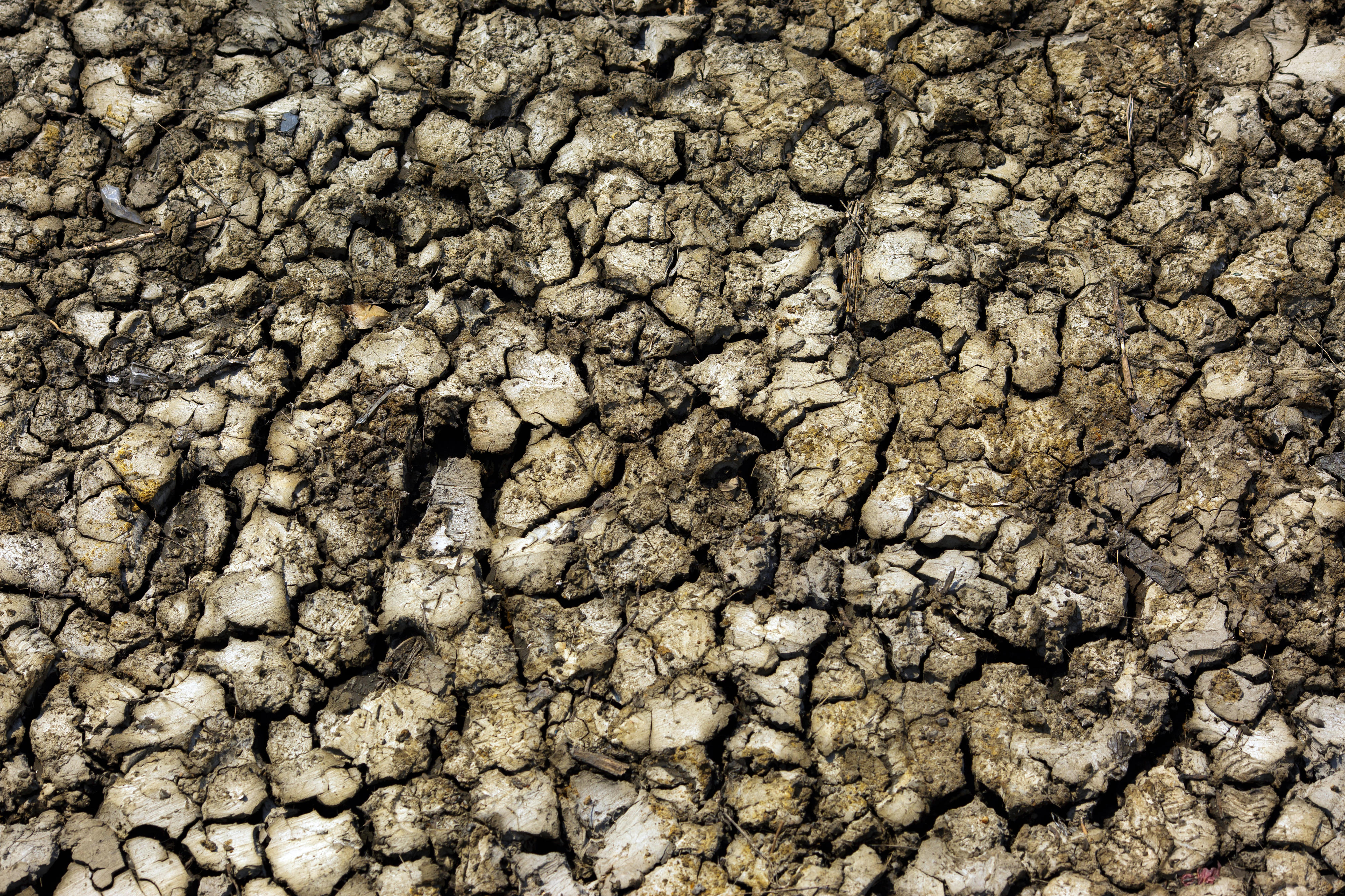 Parched ground in Beira (Mozambique)