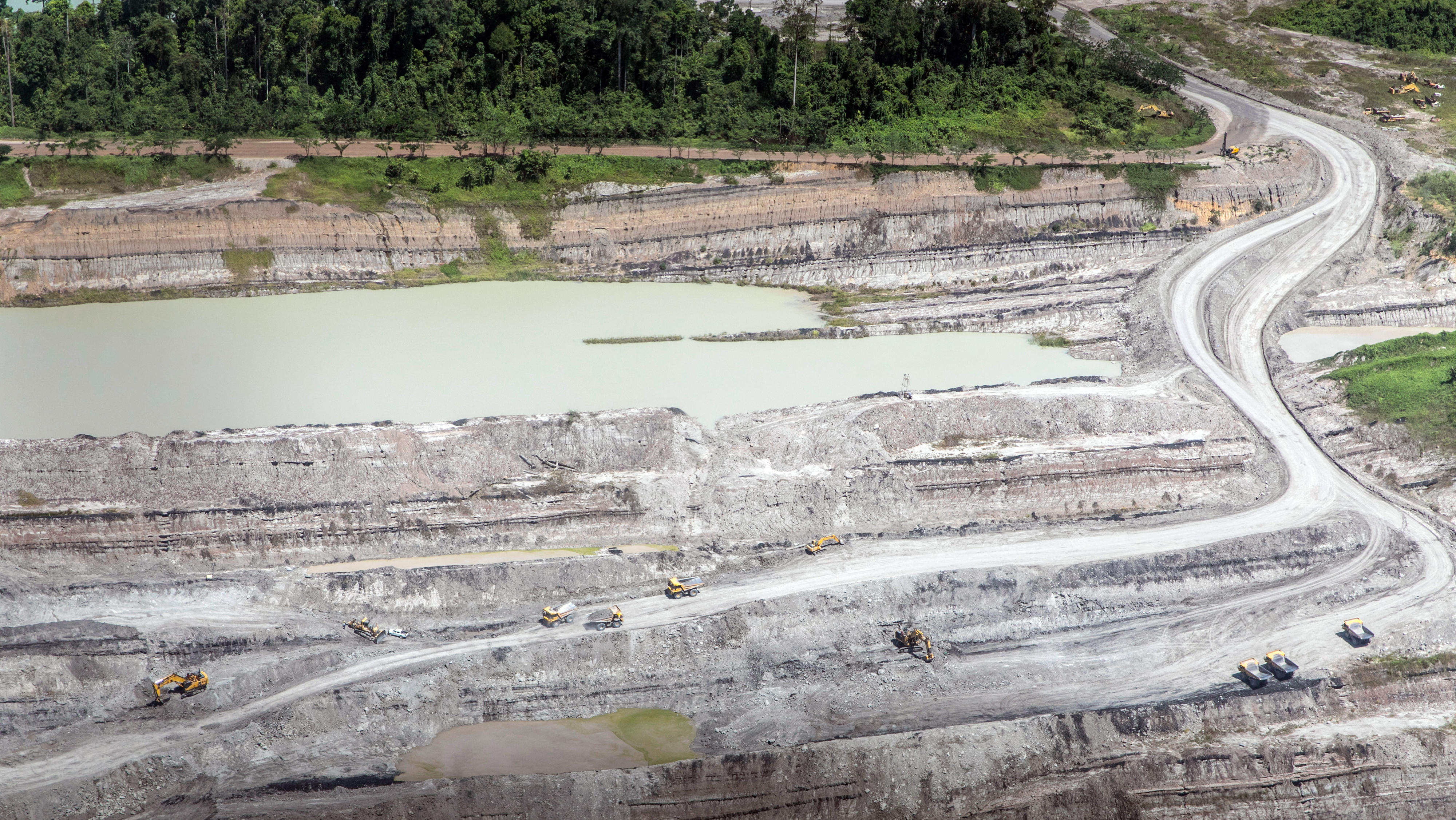 Deforested areas in the tropical rainforest on Borneo in Indonesia