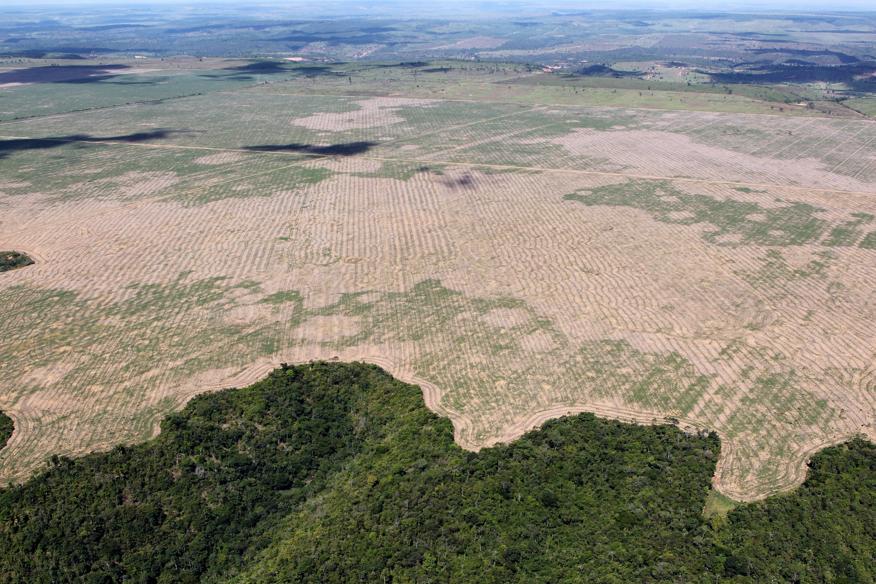 Deforestation in the Brazilian state of Maranhão