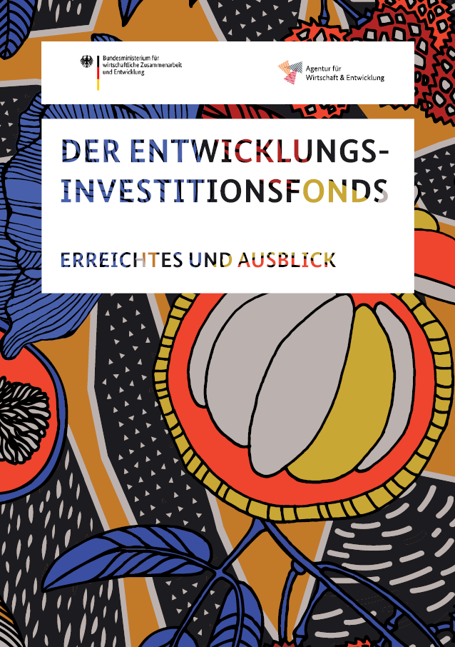 Titelblatt: Der Entwicklungsinvestitionsfonds – Erreichtes und Ausblick