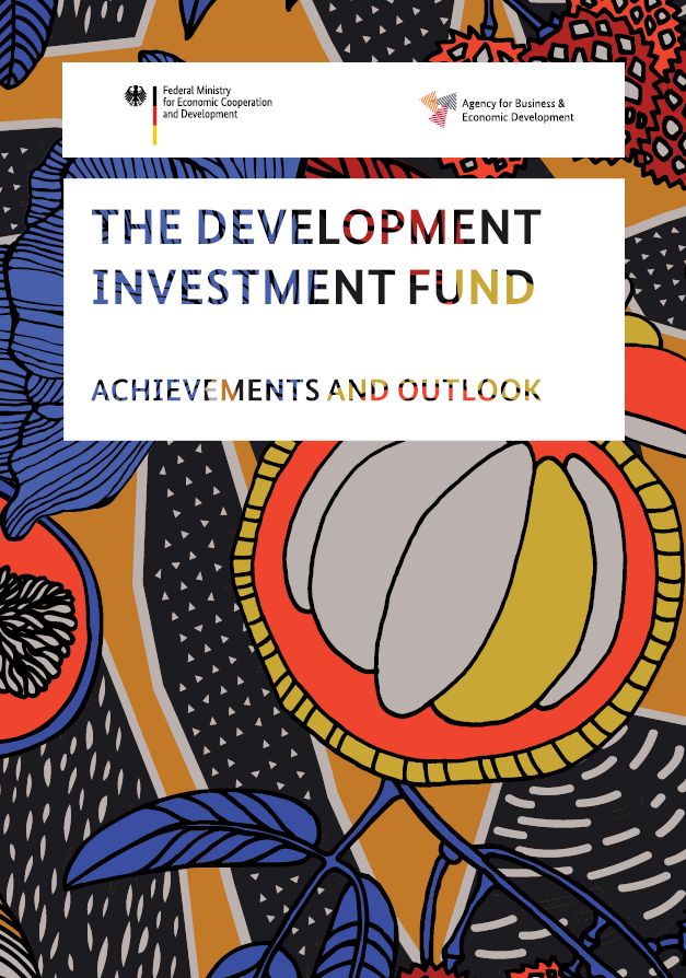 Cover: The Development Investment Fund – Achievements and Outlook