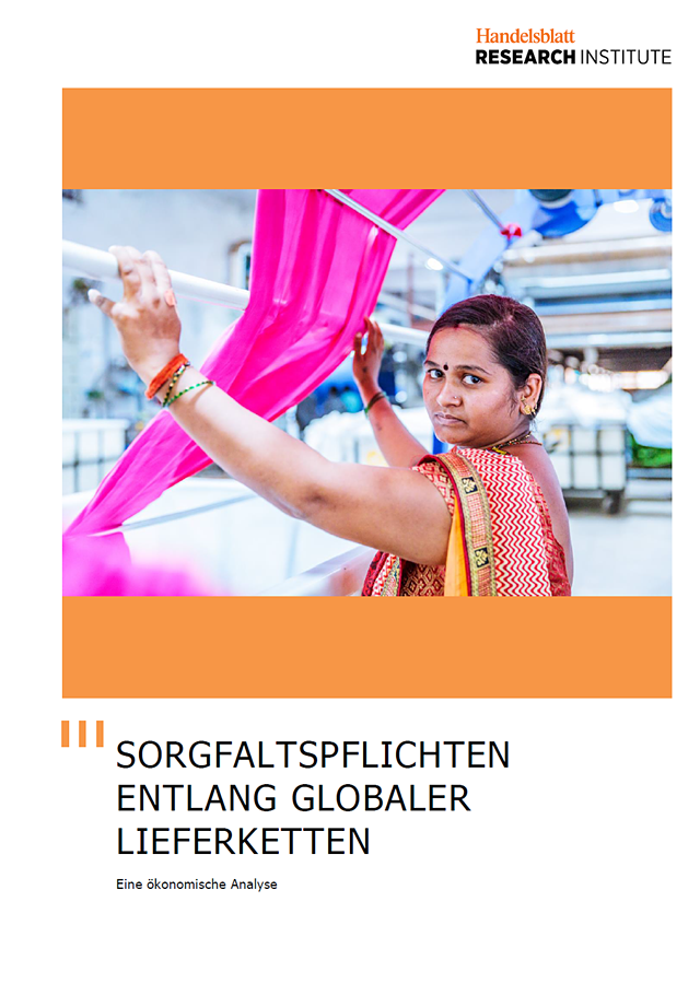 Titelblatt der Studie: Sorgfaltspflichten entlang globaler Lieferketten