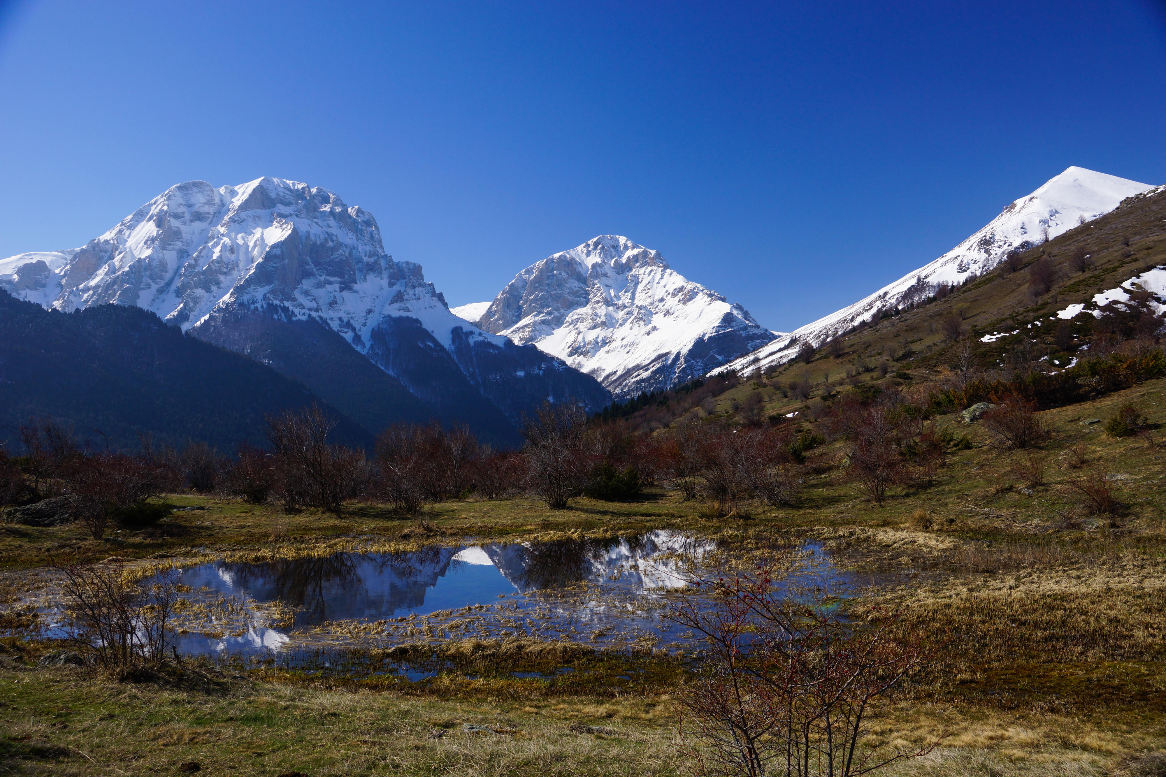 Das Gebiet "Leshnica" im Popova Shapka Gebirge in Mazedonien