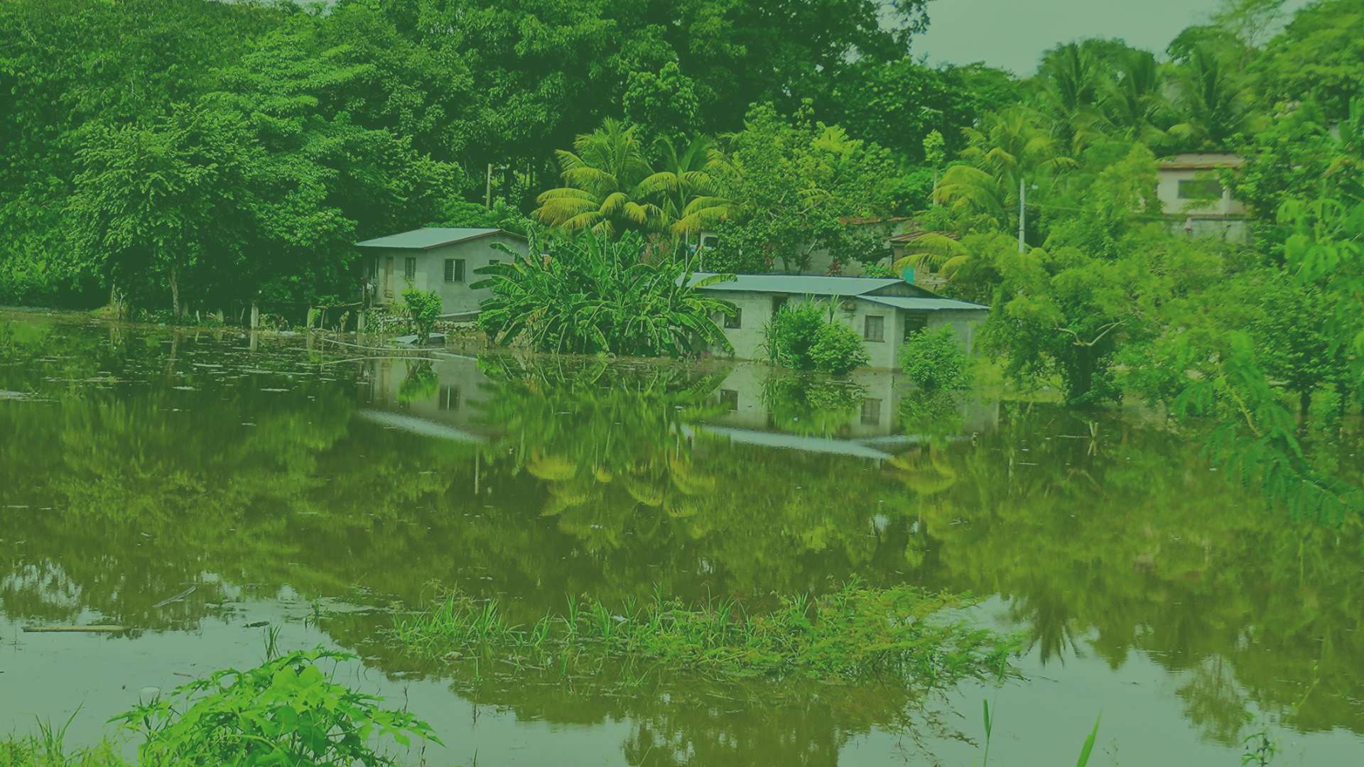 Überflutung von Siedlungen am Ulua Fluss in San Manuel, Honduras