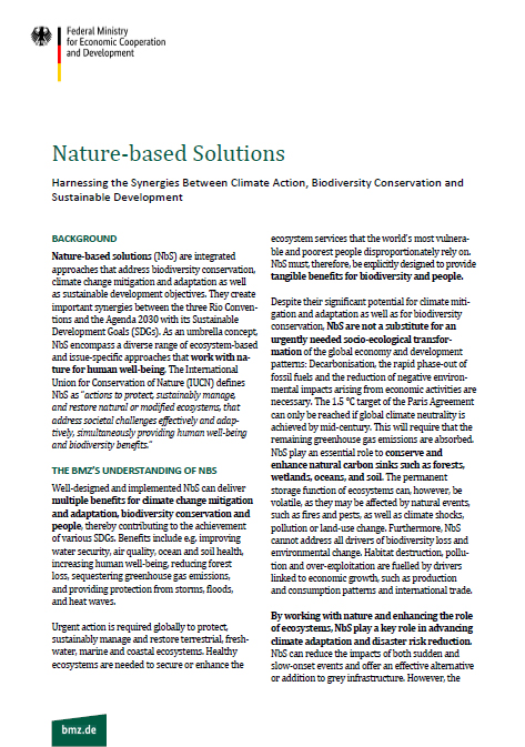 cover naturebased solutions