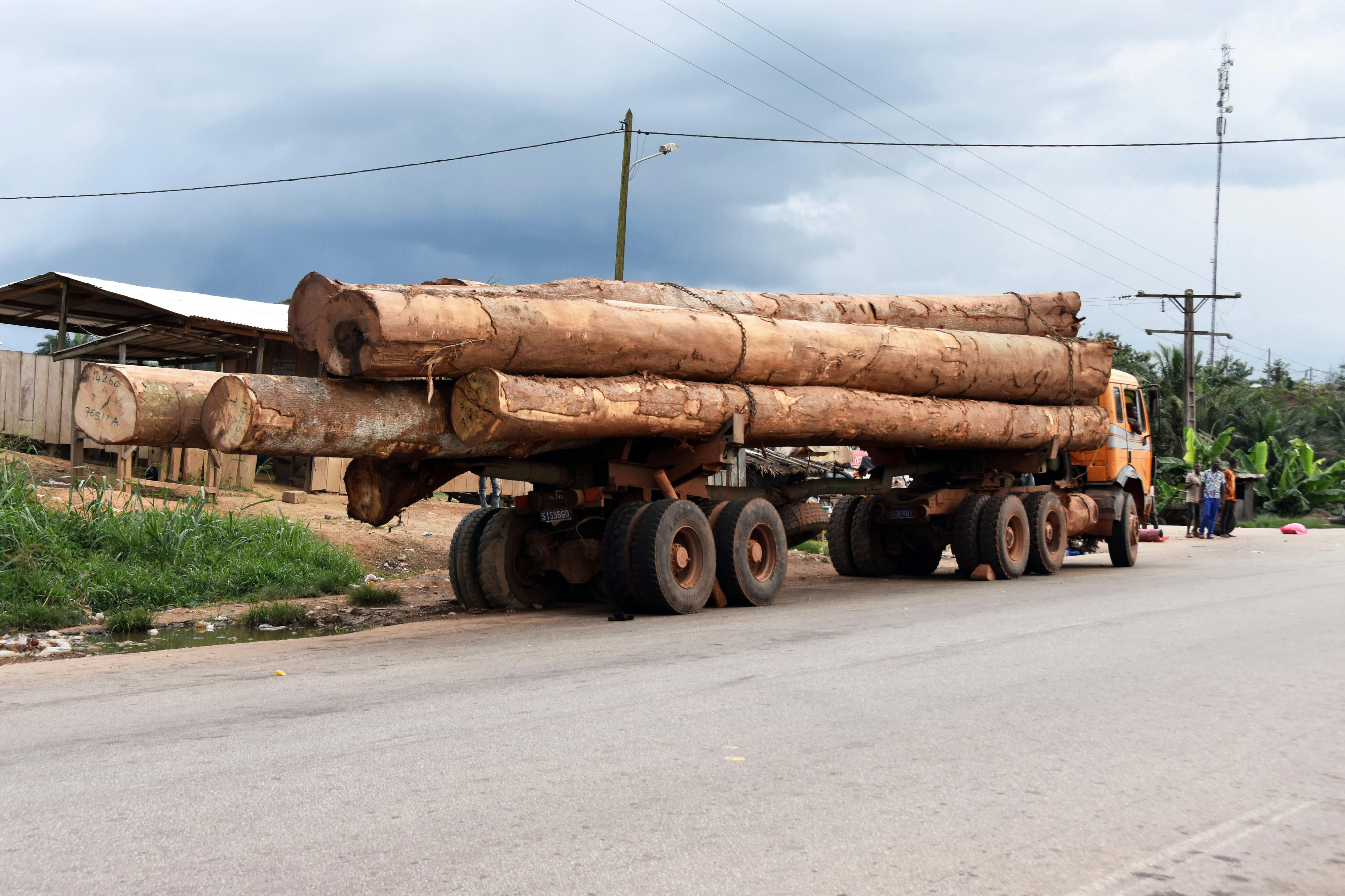 Transporting logs in Côte d‘Ivoire