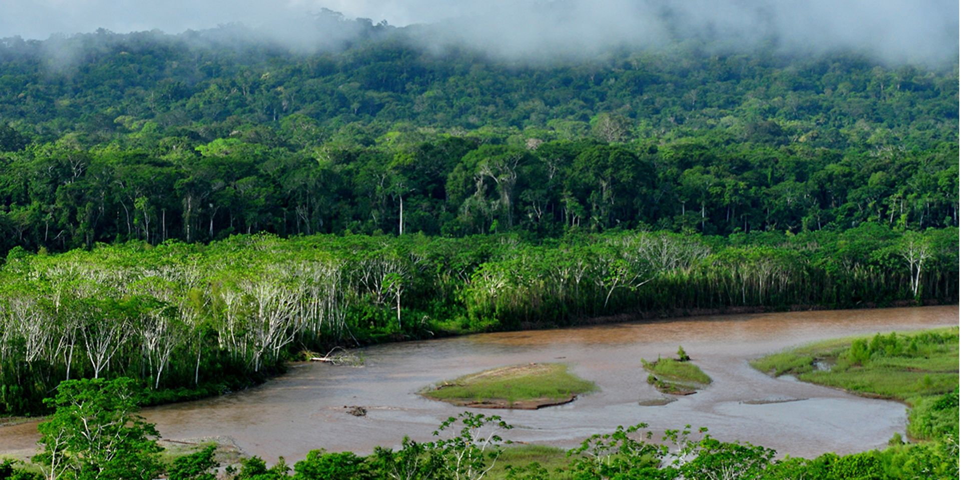 конго течет среди тропических лесов. река конго в габоне?.